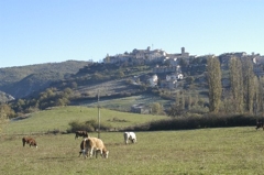 Monteleone di Spoleto