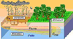 bonifiche