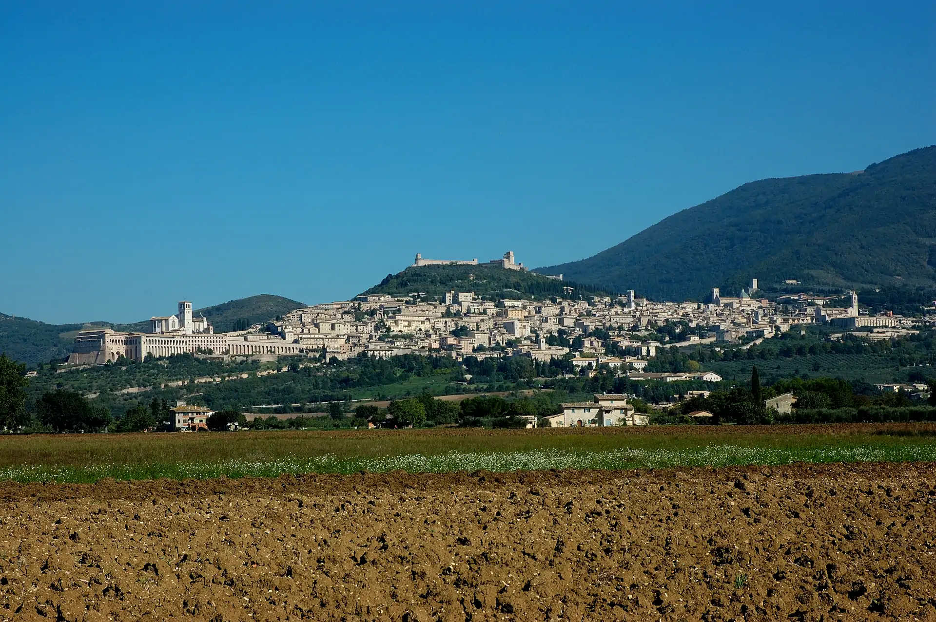 Assisi