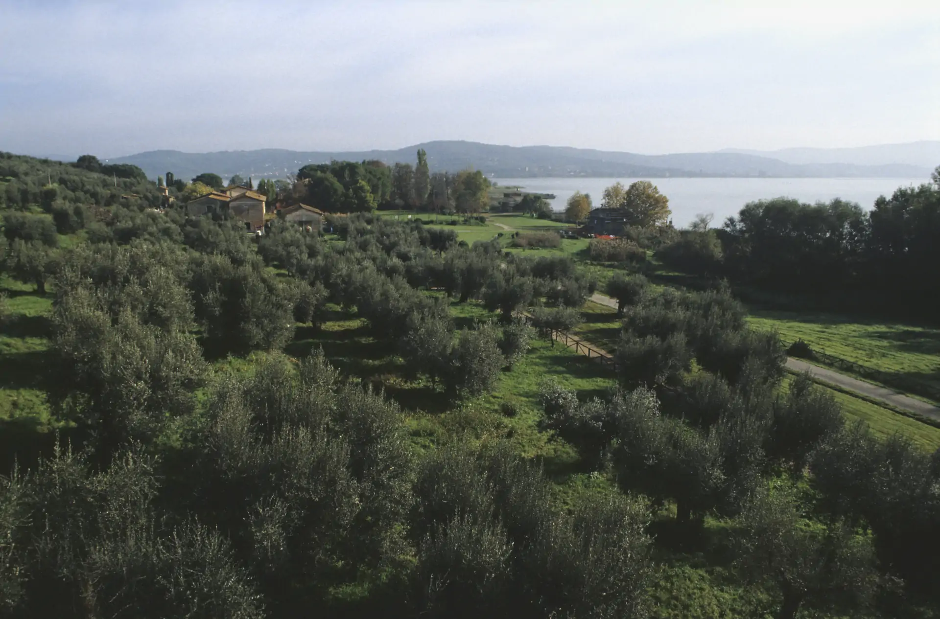 Isola Polvese, il