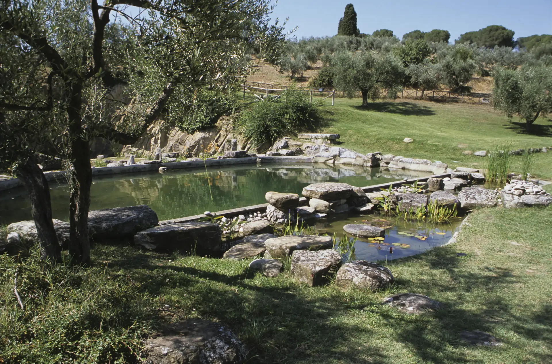 Isola Polvese, Piscina Porcinai e ninfei
