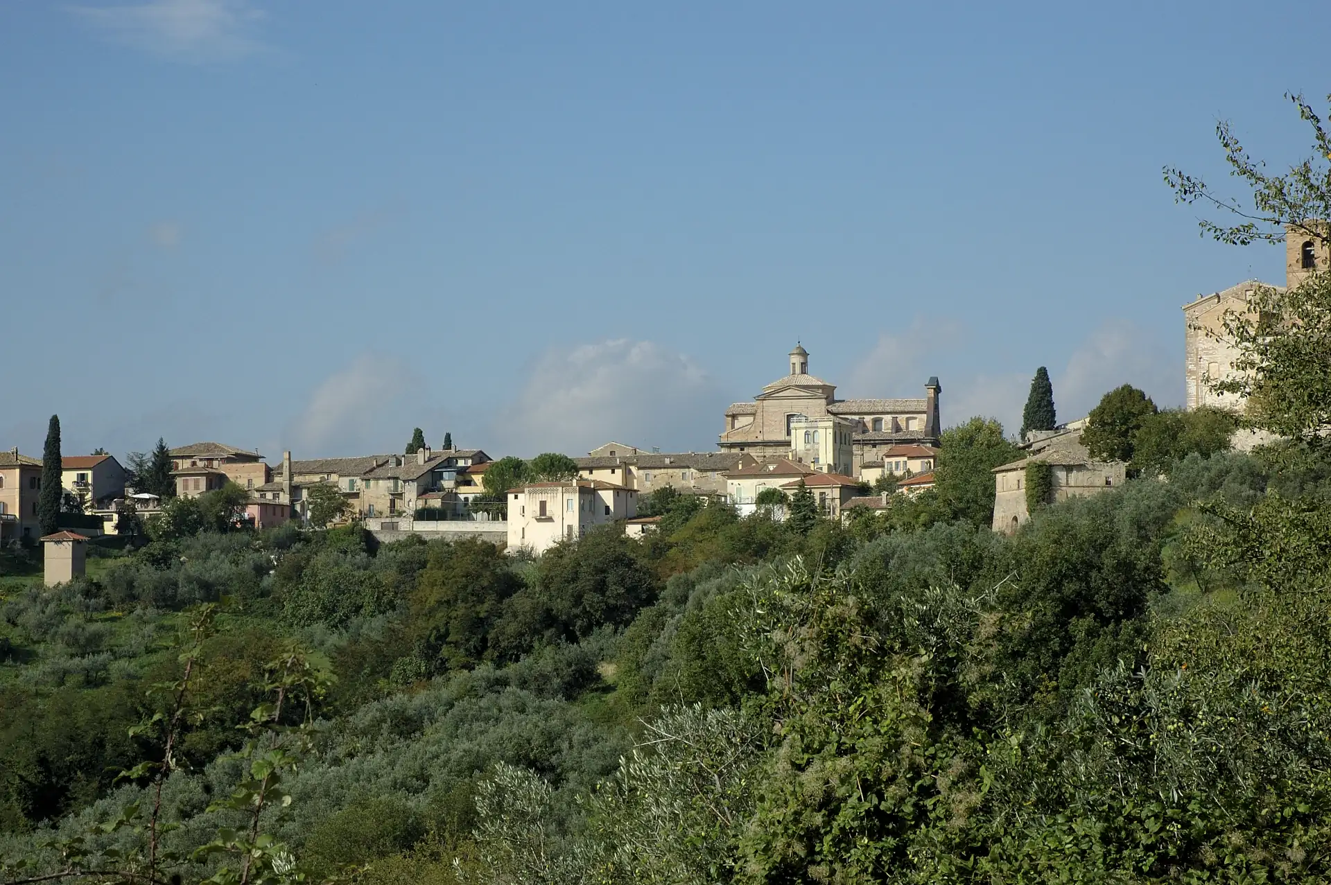 Montefalco 