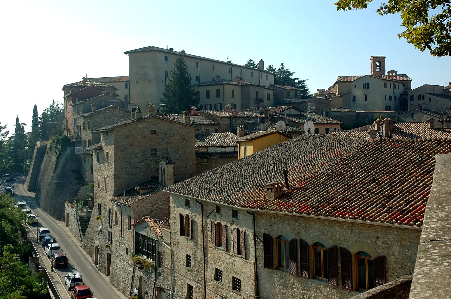 Montone 