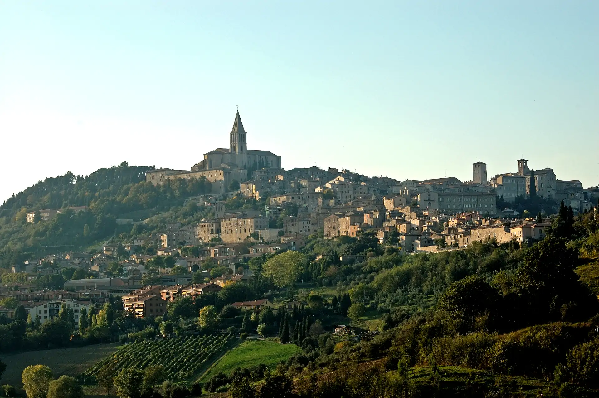 Todi 