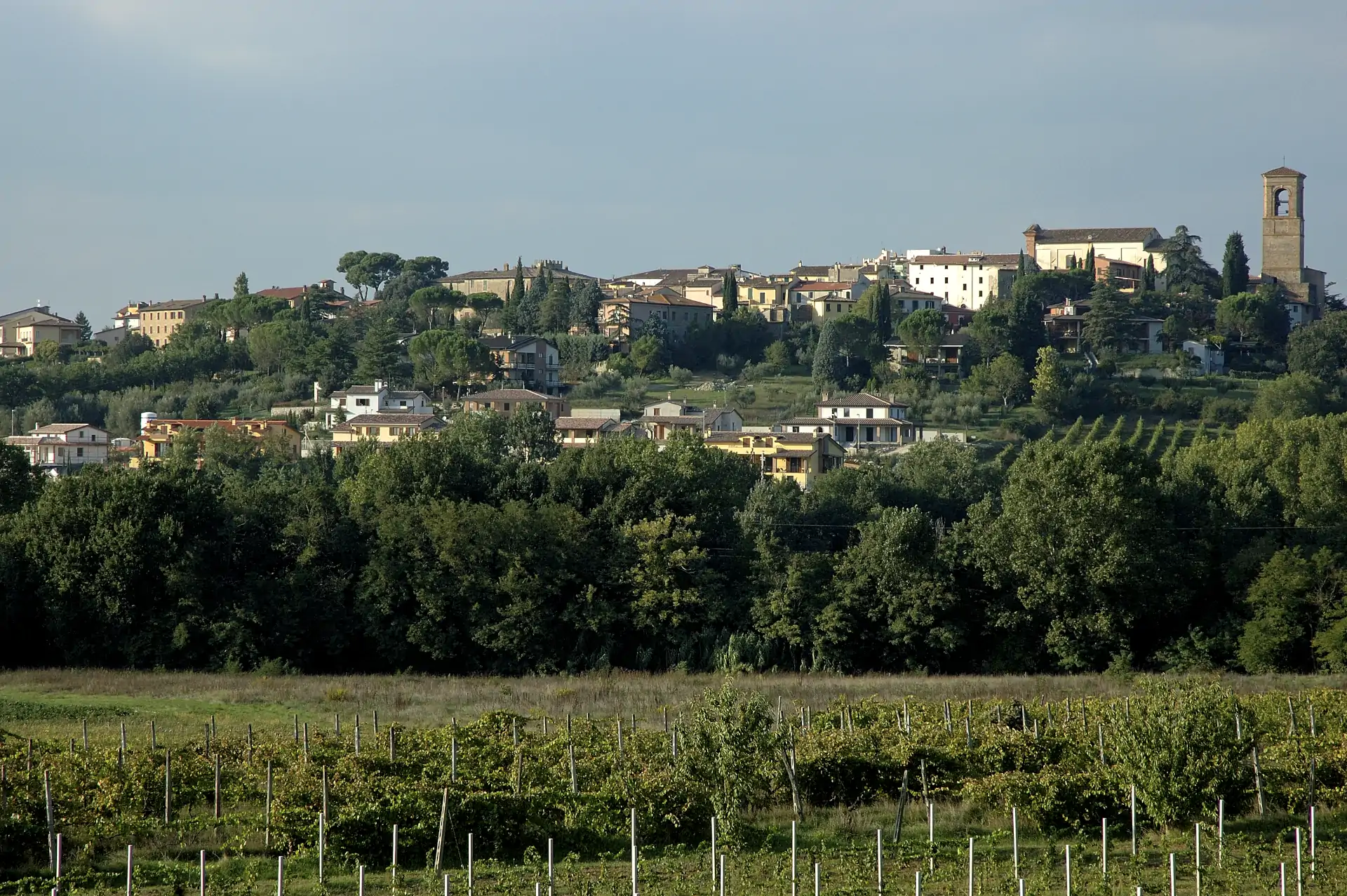 Torgiano 