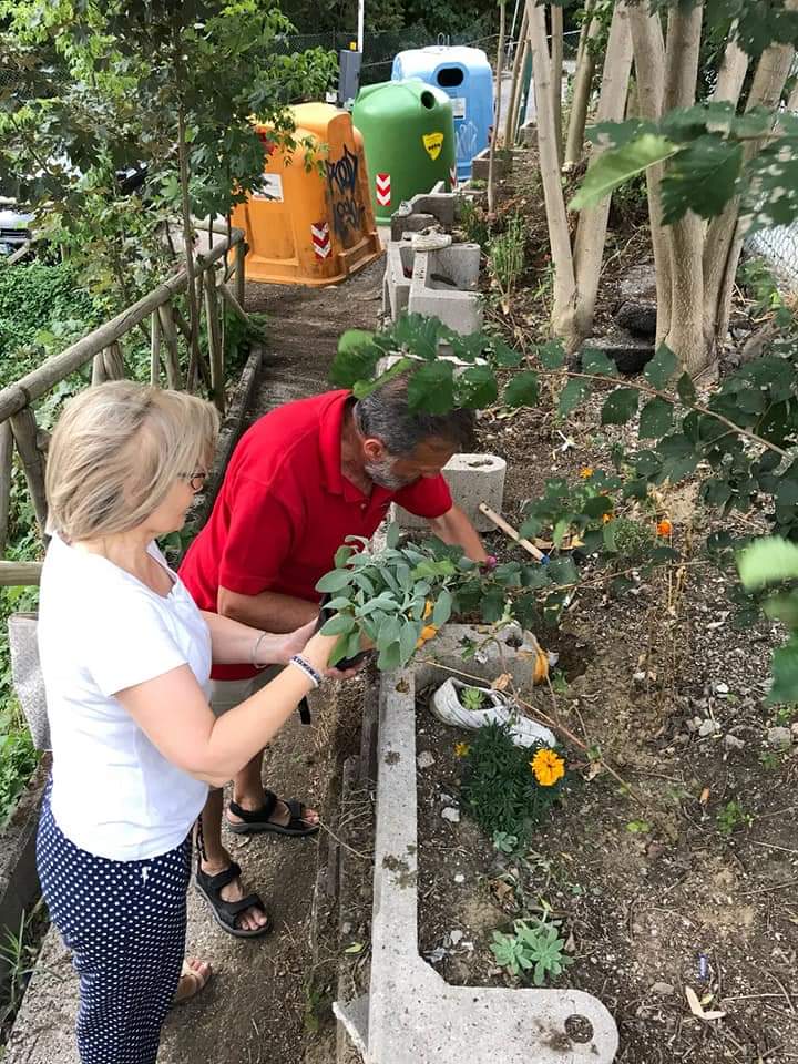 giardinaggio di comunità