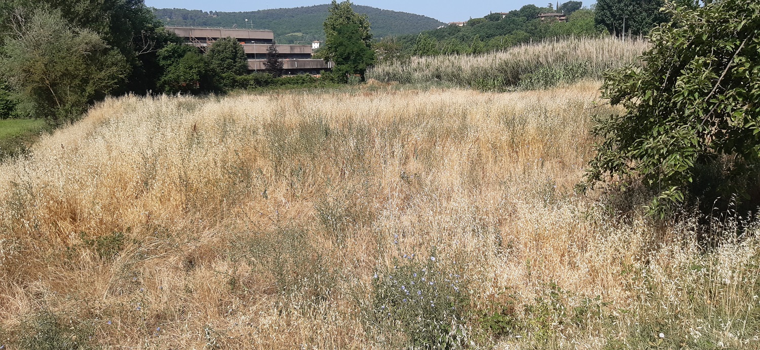 Nuovo edificio scolastico a Perugia