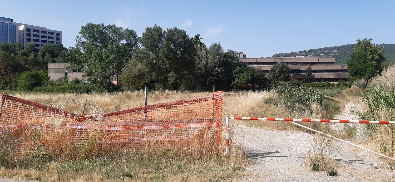 Immagine - terreno per nuova scuola
