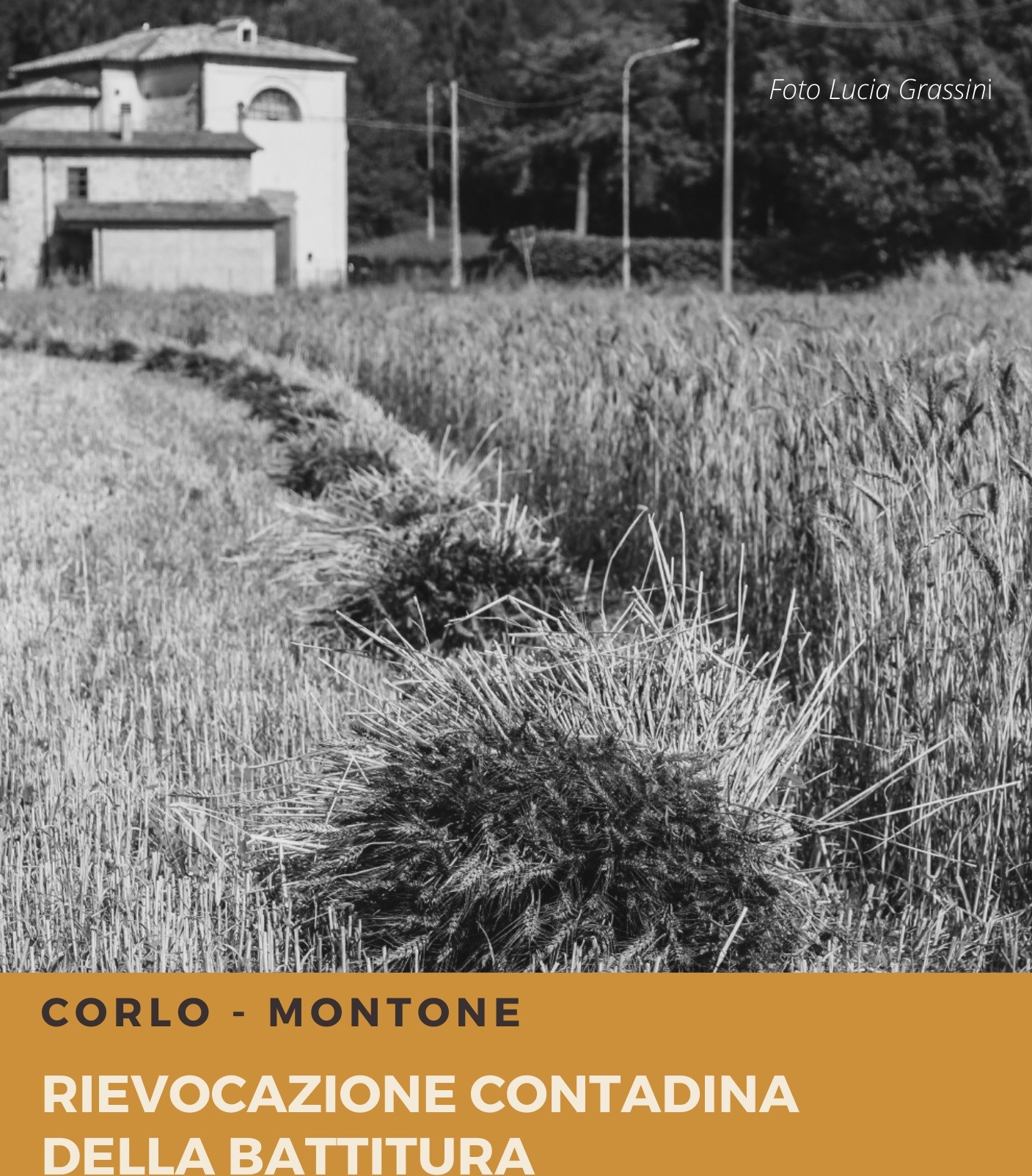 Domenica la rievocazione contadina della “Battitura”