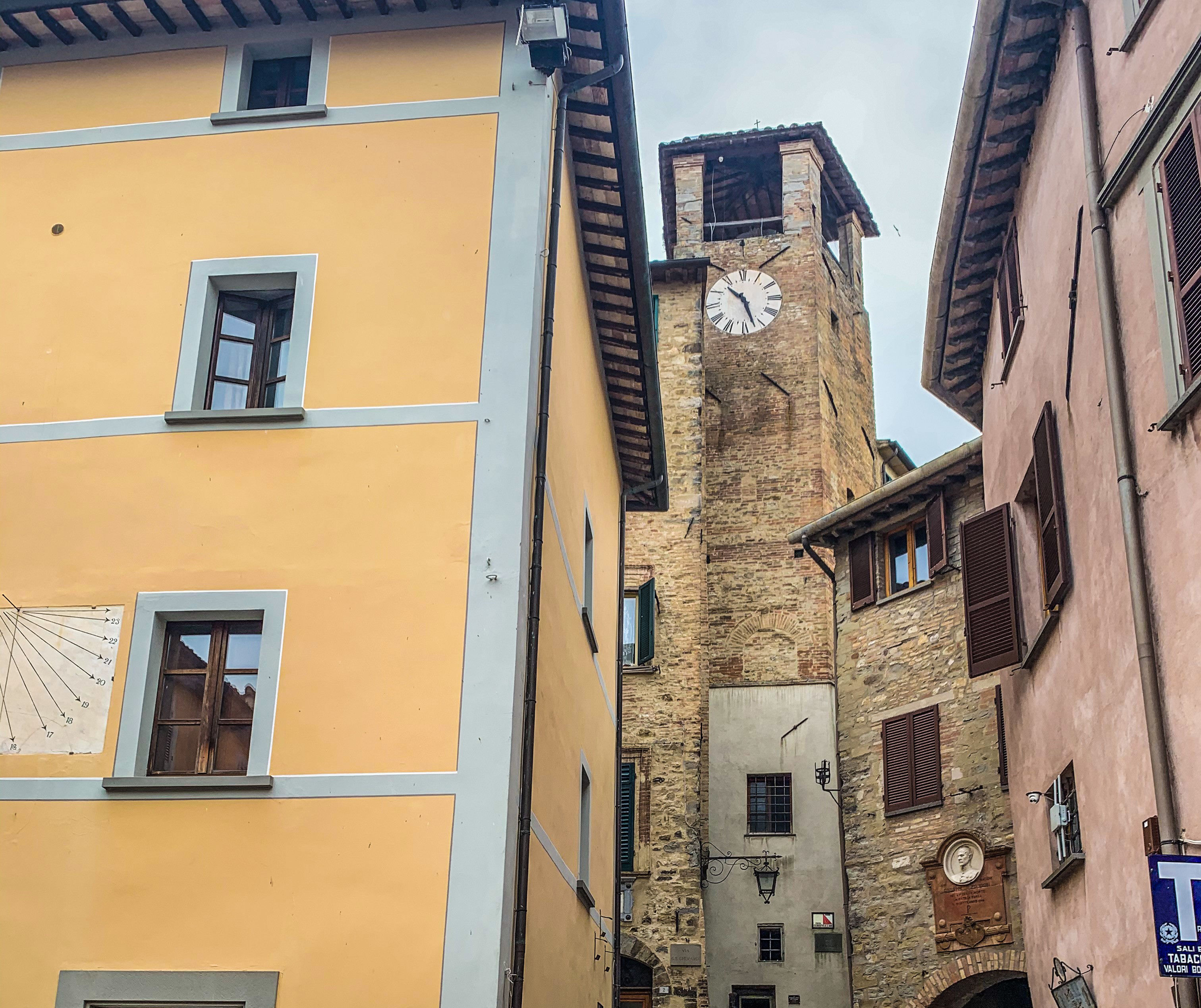 montone