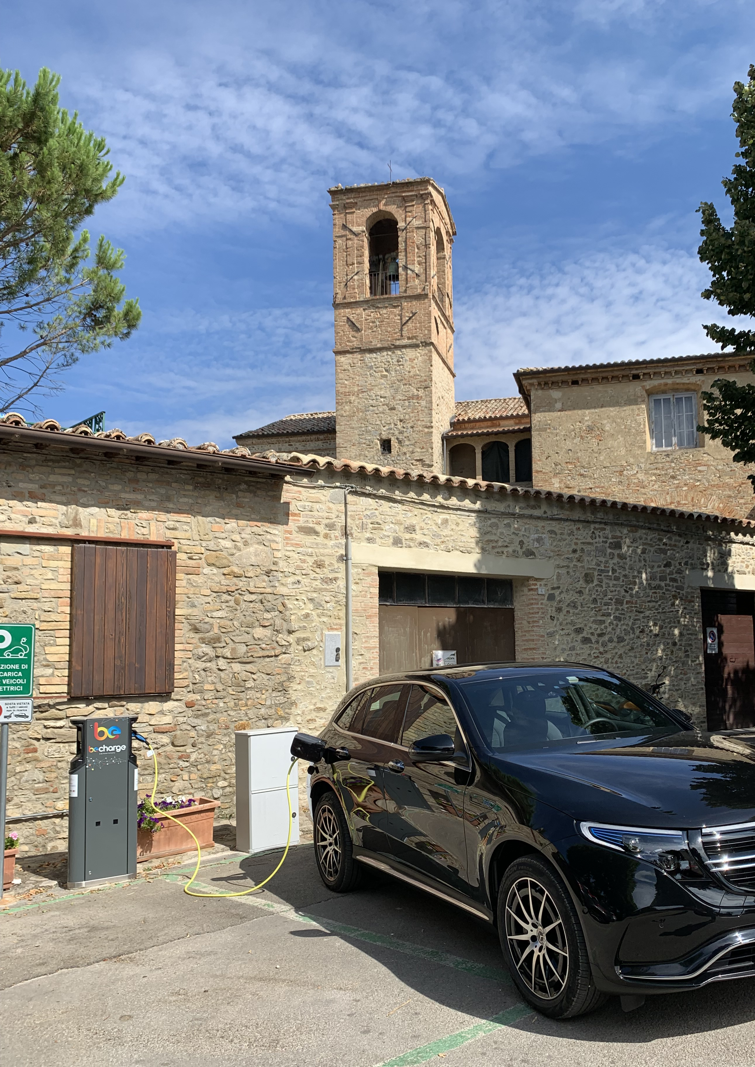 montone