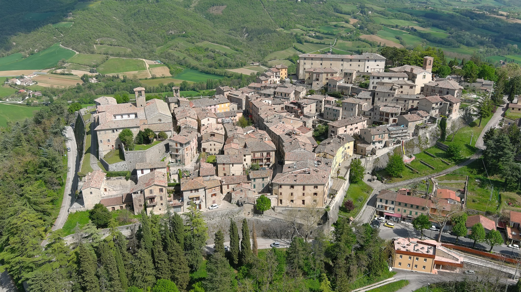  montone