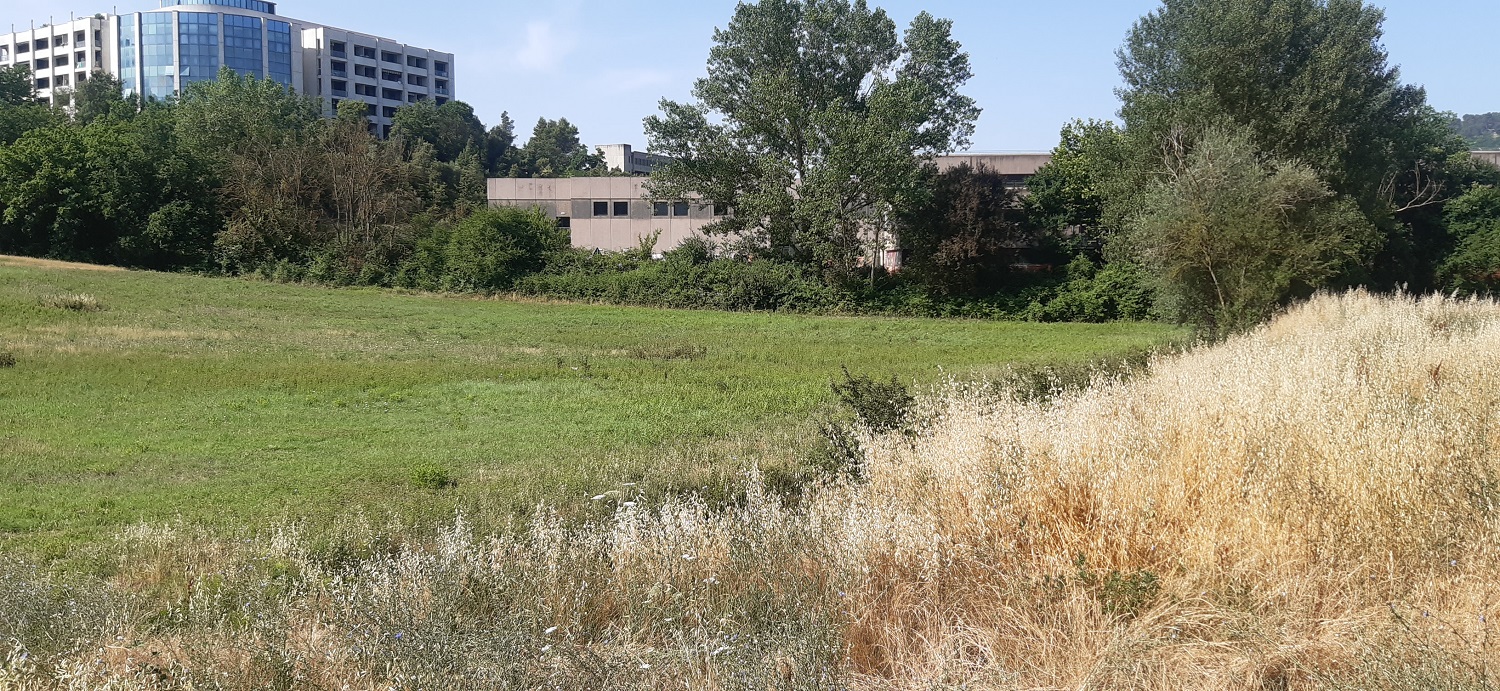Immagine - Terreno dove sorgerà la nuova scuola vicino al Capitini