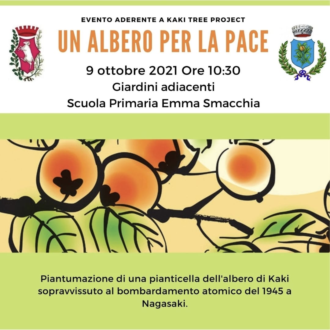 alberello di kaki