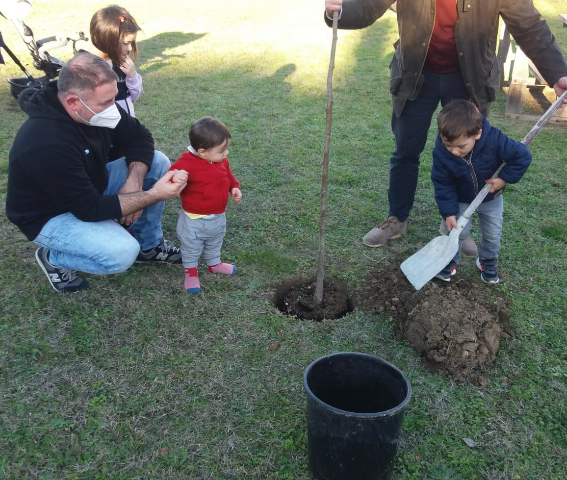  “Giornata dell’Albero” citerna
