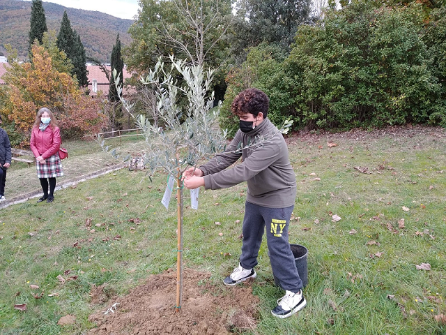 Gli alunni delle Medie piantano olivi al Parco di Nassiriya