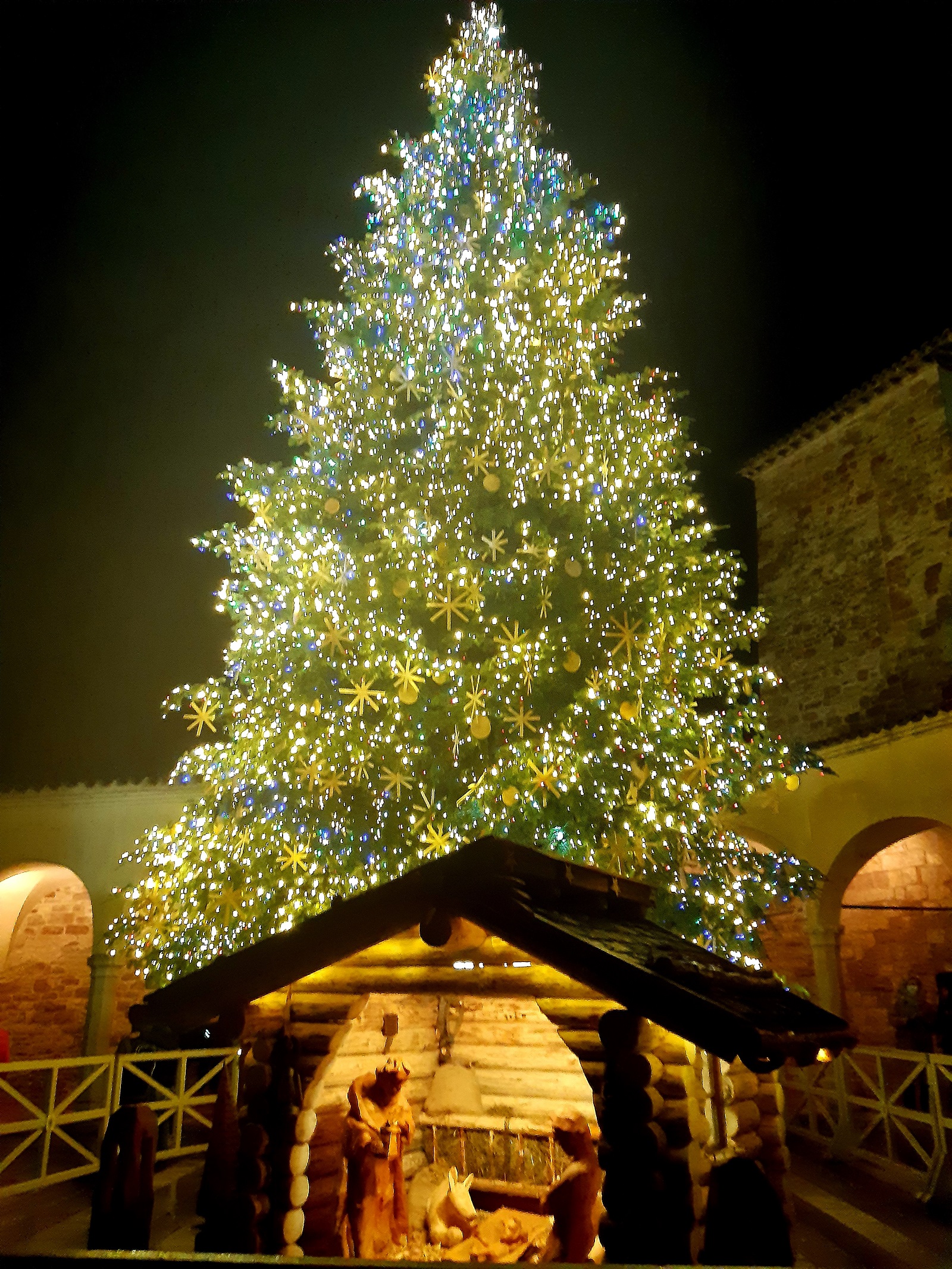 albero di natale