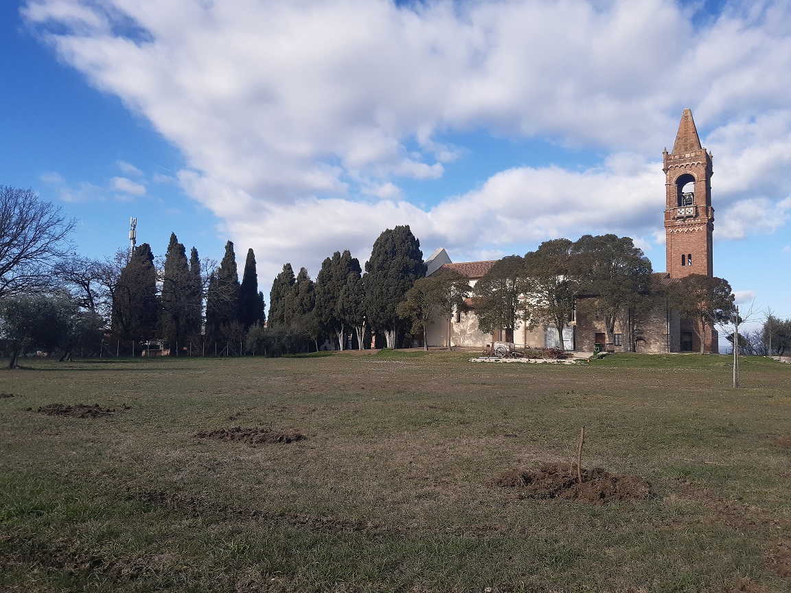 “Via europea della seta” - Faro Trasimeno mette a dimora 60 piante di gelso