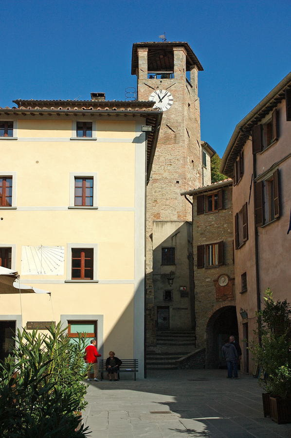 montone 