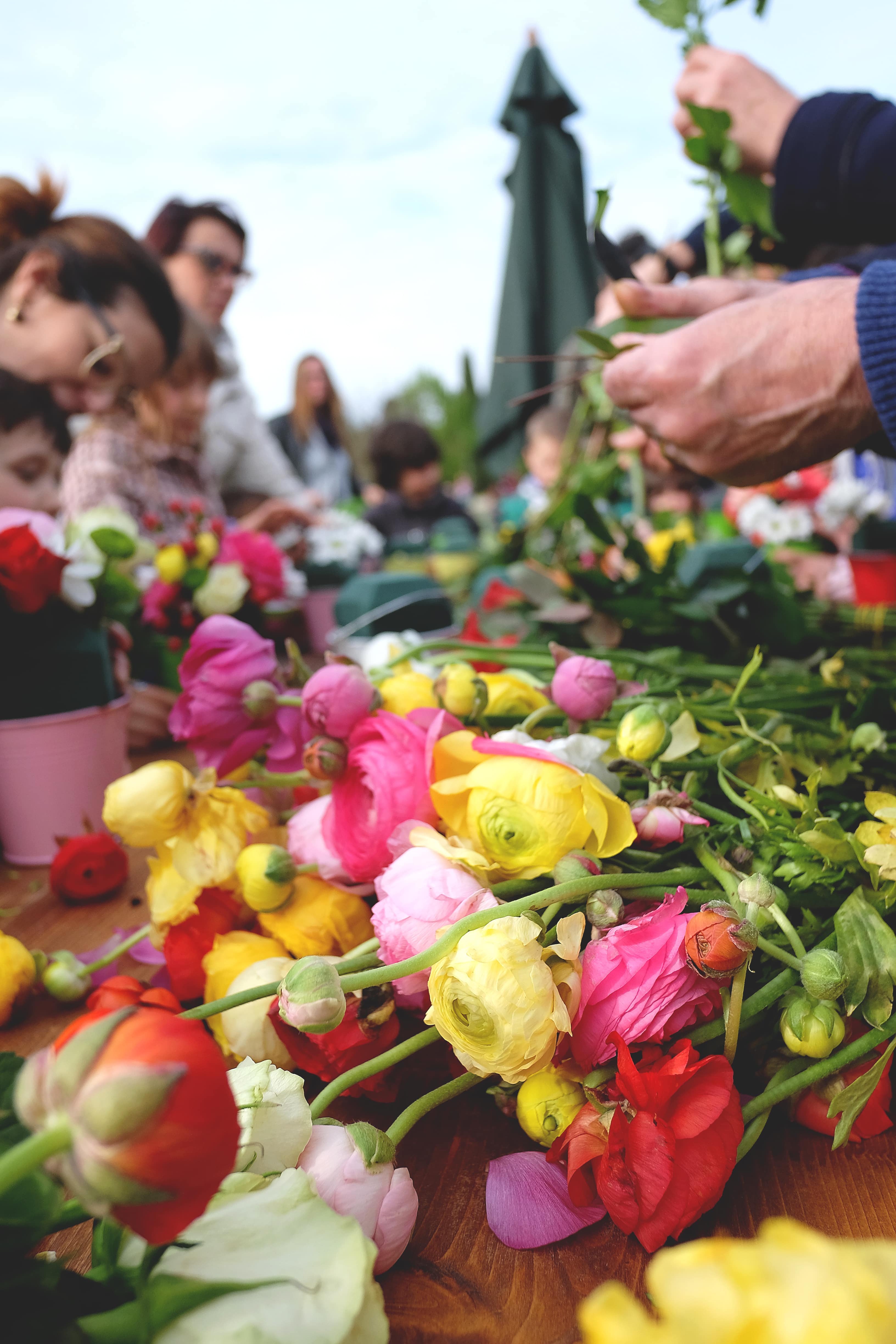 Perugia Flower Show 