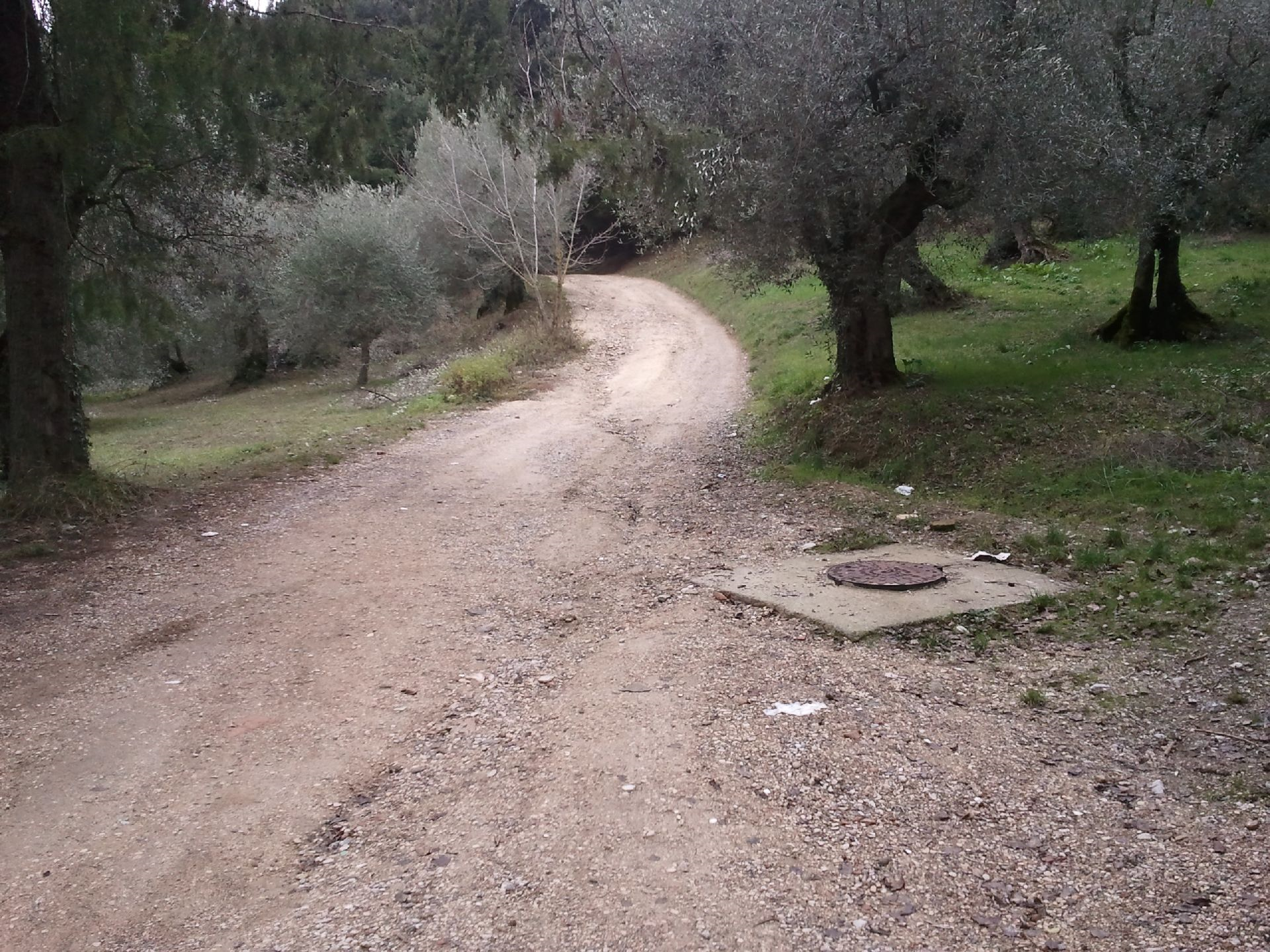 Il Parco