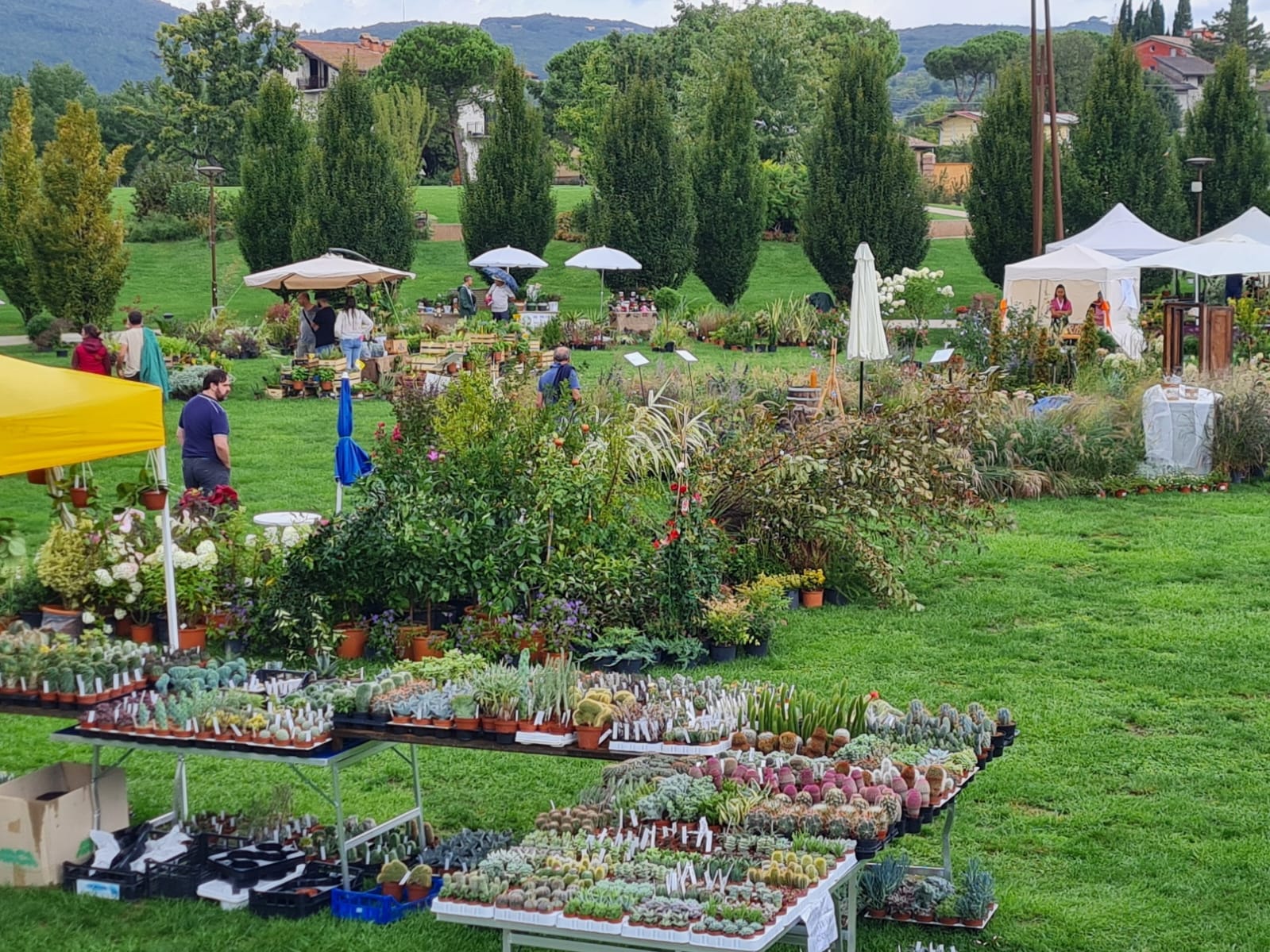 Perugia Flower Show