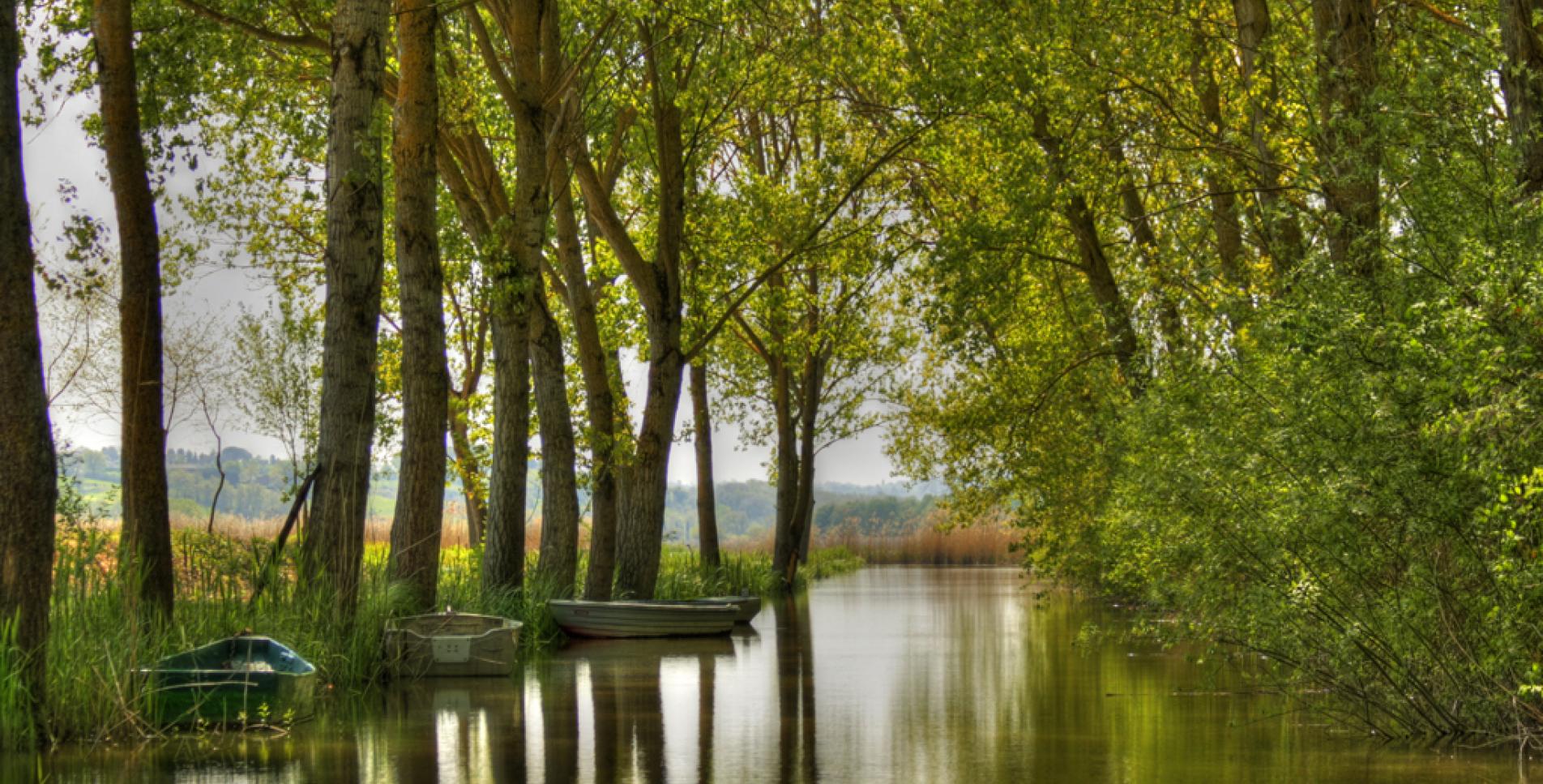 Riserva del lago di Montepulciano