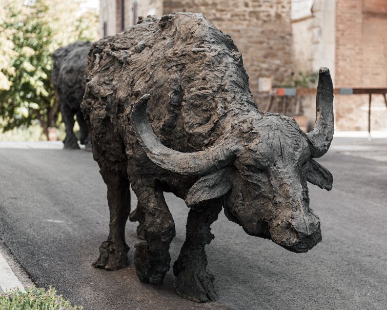 Foto di Marco De Ieso