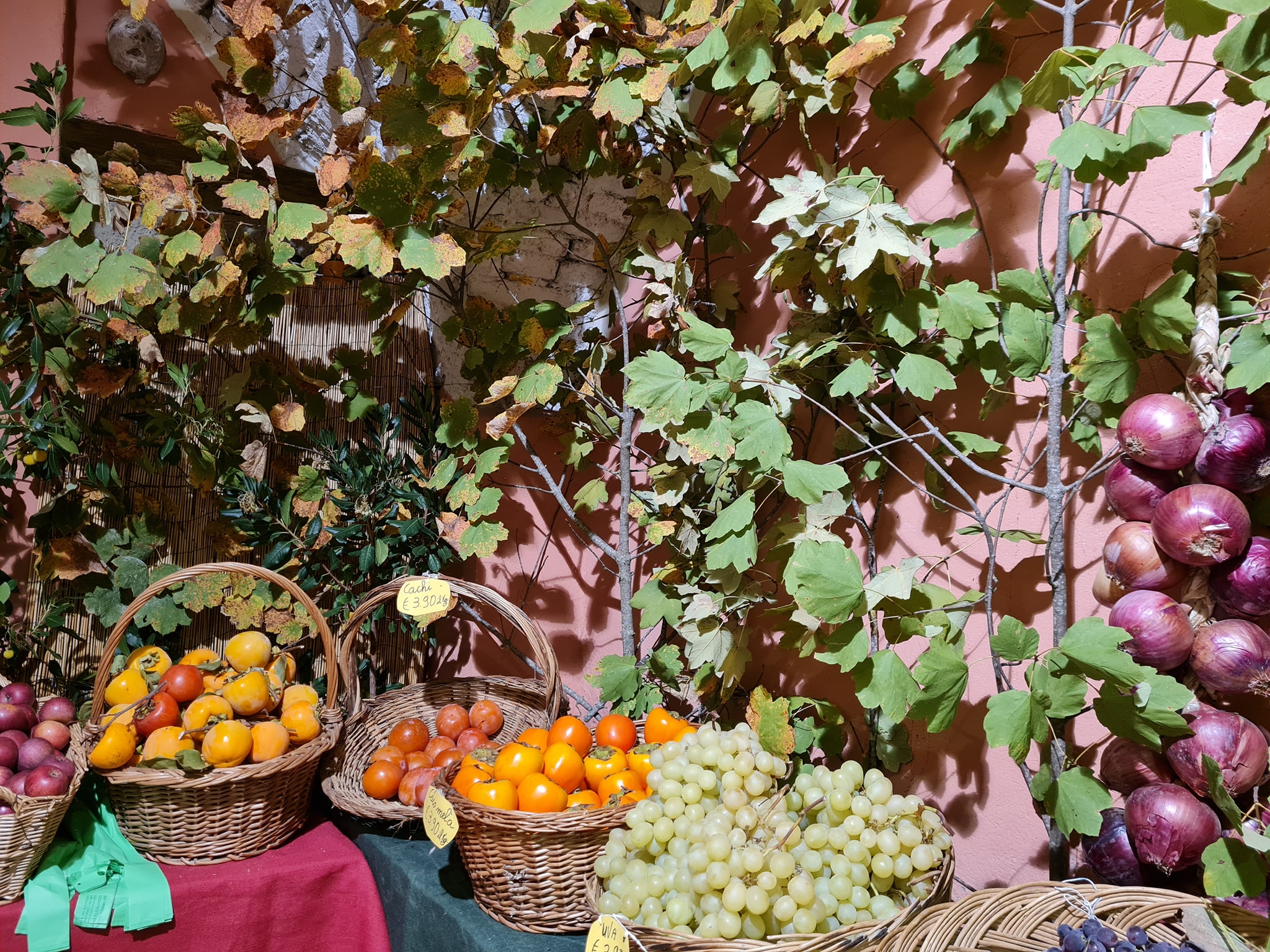 Festa del Bosco