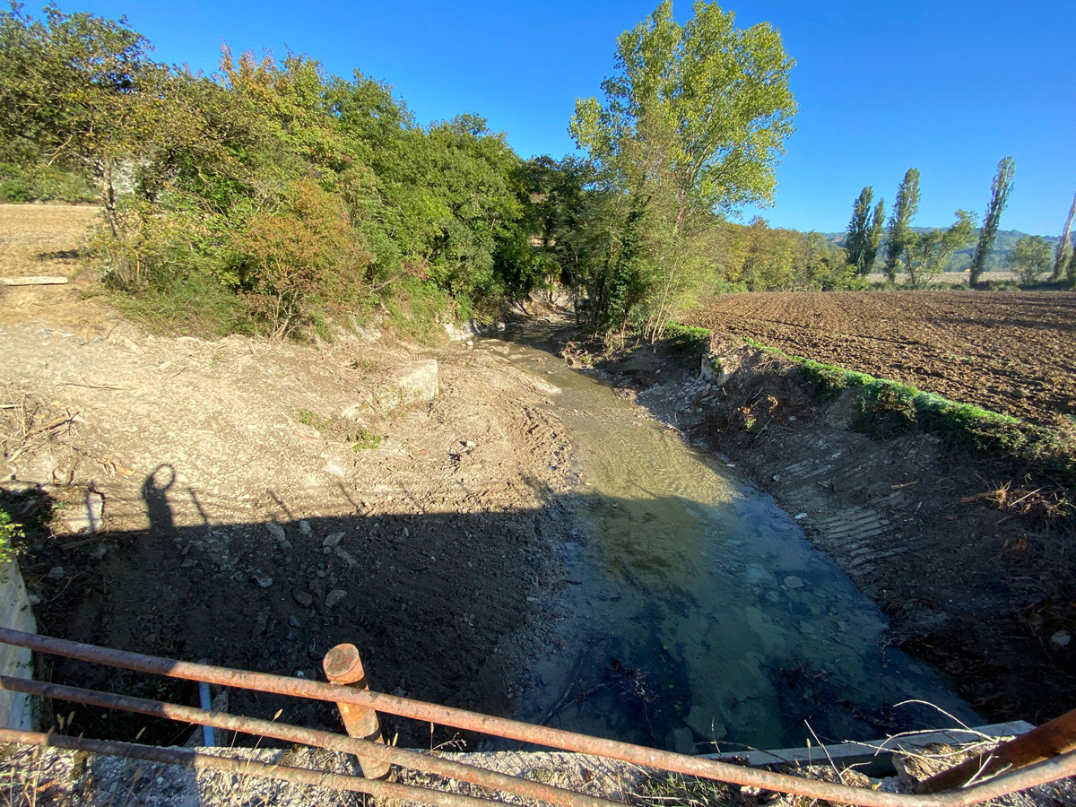 Alla “Festa del Bosco” si parla anche di tutela ambientale