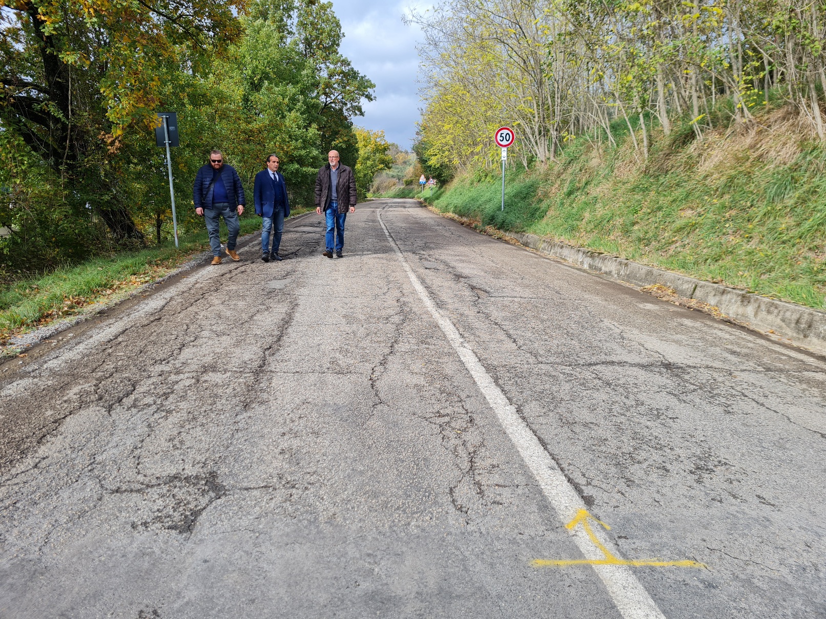 Viabilità – Sp 201, iniziati i lavori di sistemazione 