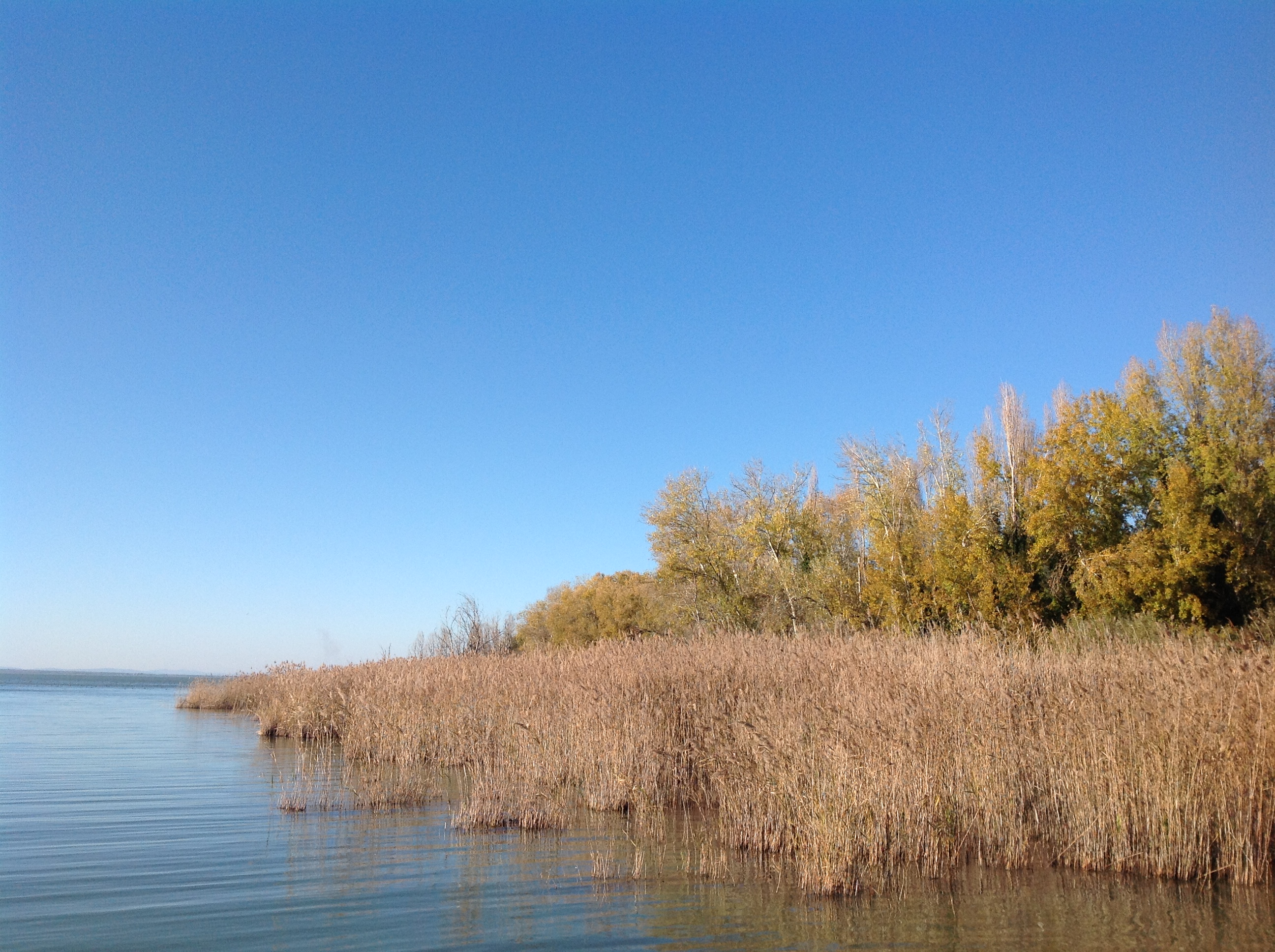 Isola Polvese, Canneto