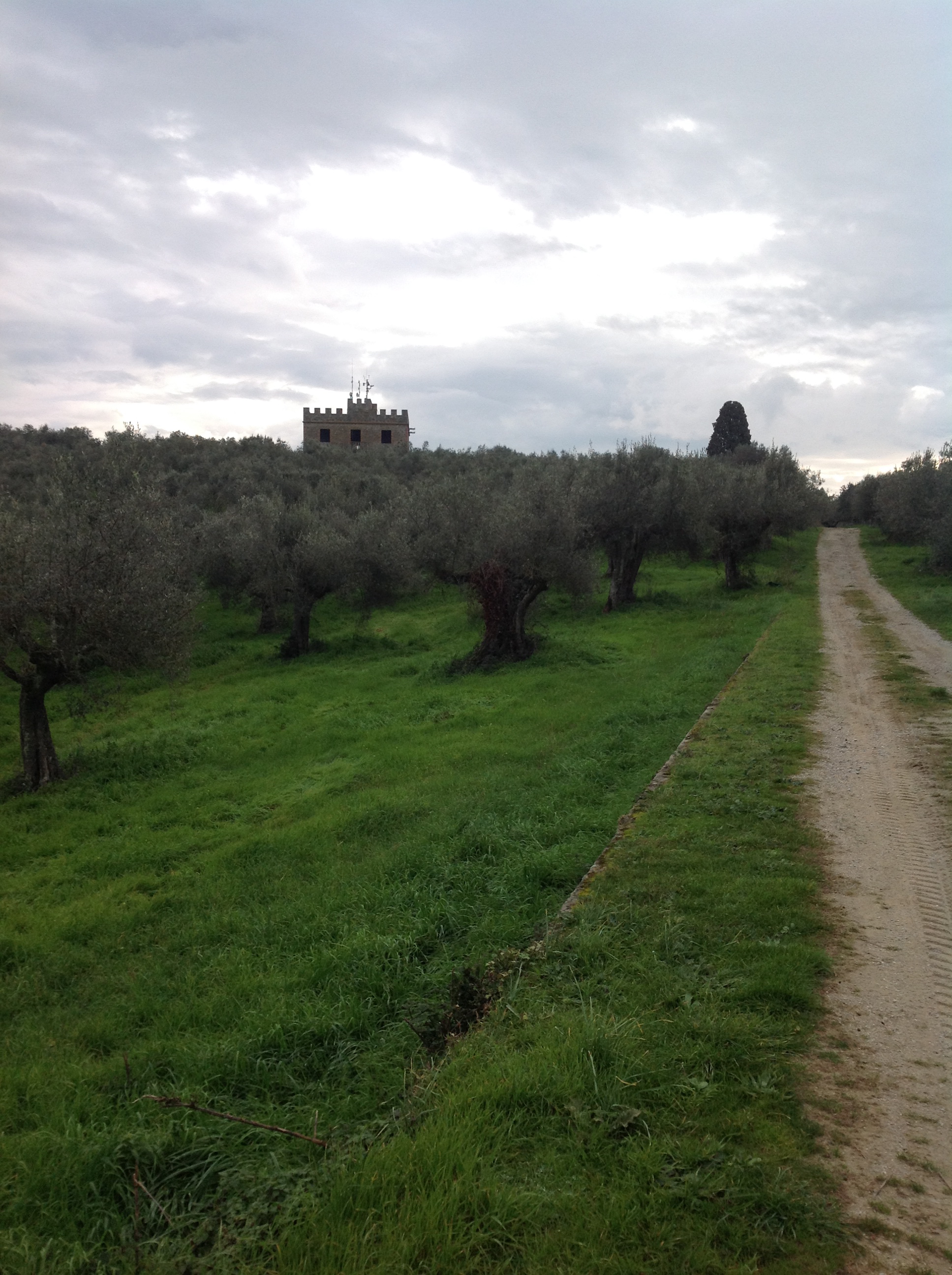 Isola Polvese, Casa Merlata e oliveto