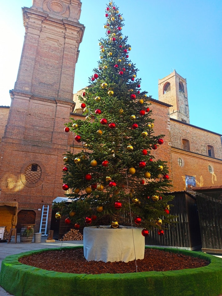 L'albero in Piazza Plebiscito