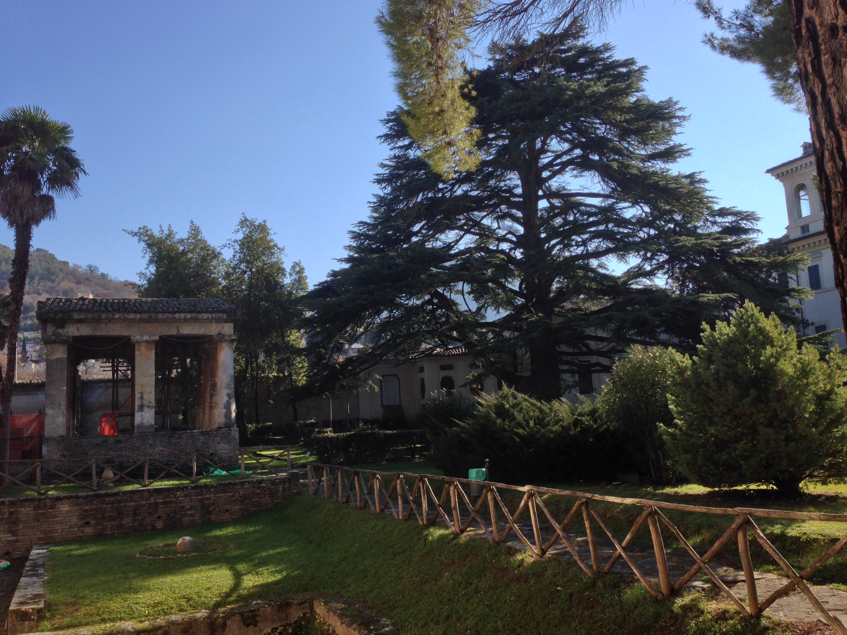 Immagine - Tempietto dorico e cedro del Libano