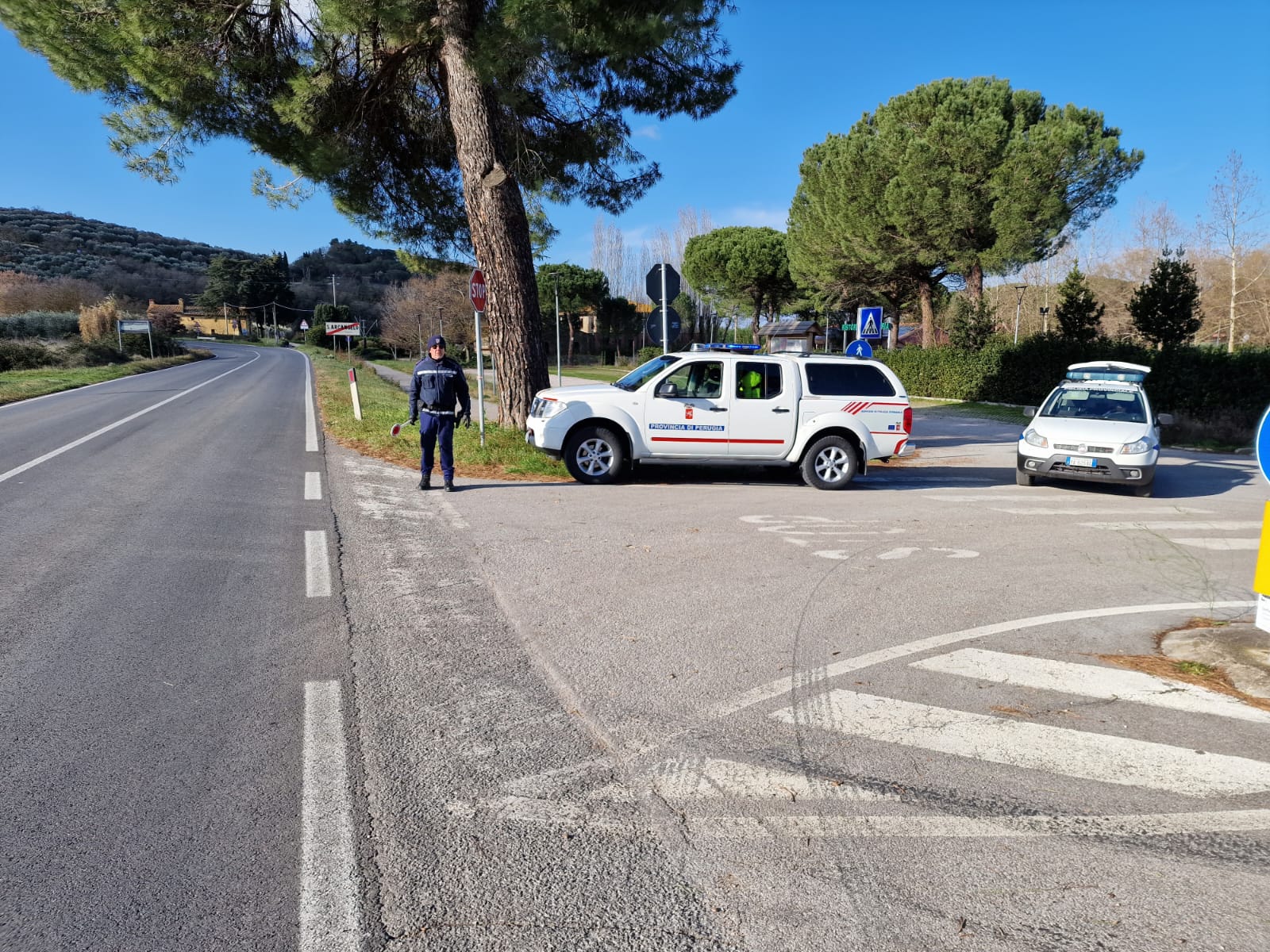 attività prevenzione incidenti stradali da fauna selvatica