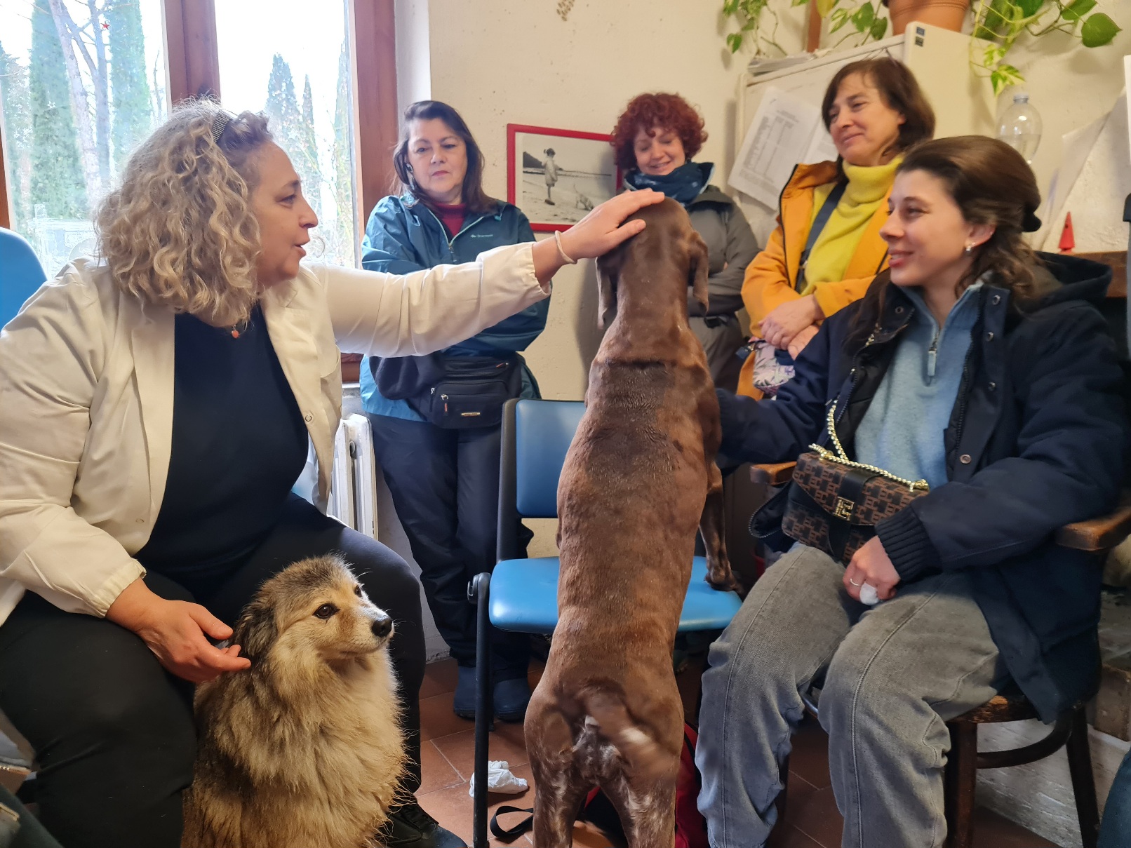 canile collestrada 