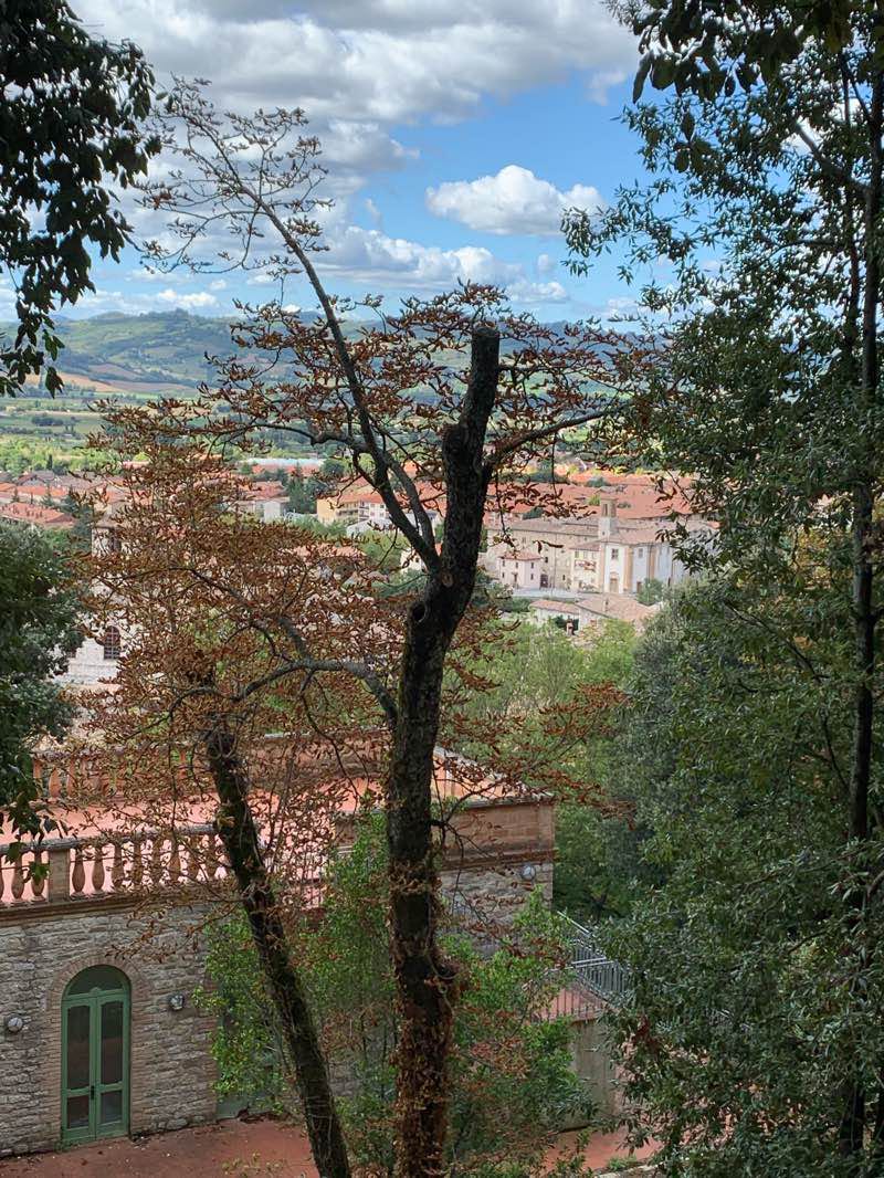 Immagine - Gubbio vista dal sommo del viale del bosco sacro