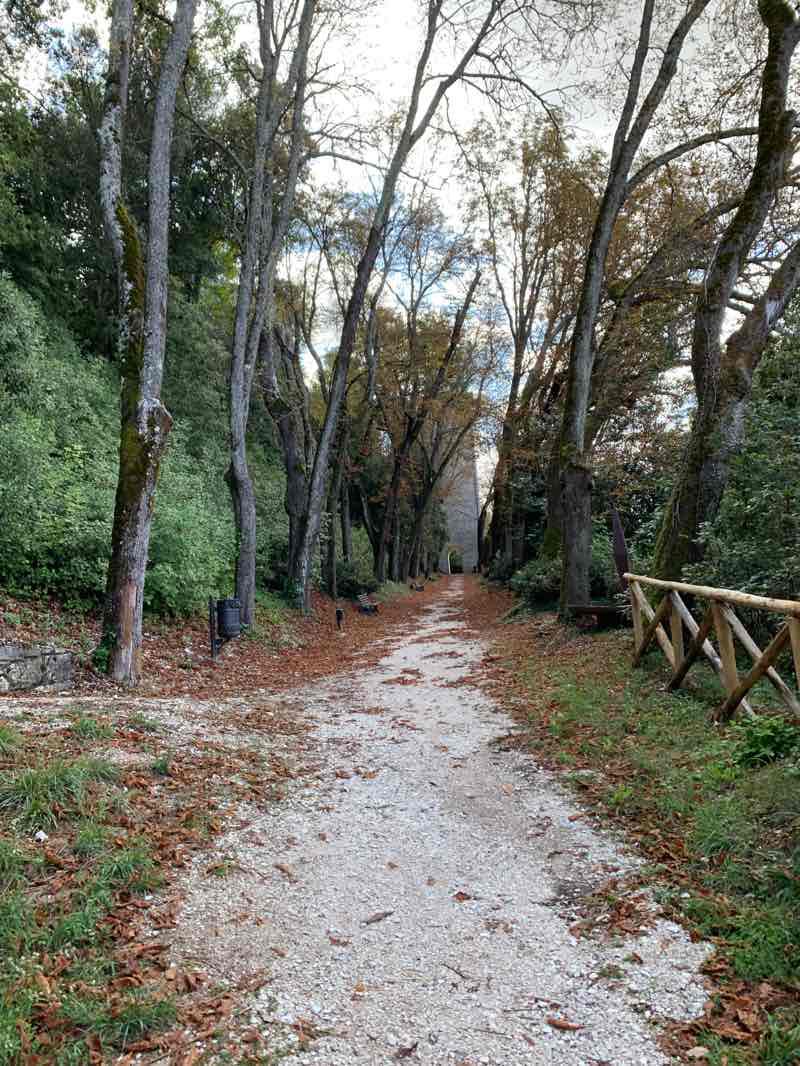 Immagine - Rampa degli ippocastani che conduce alla Torre medievale