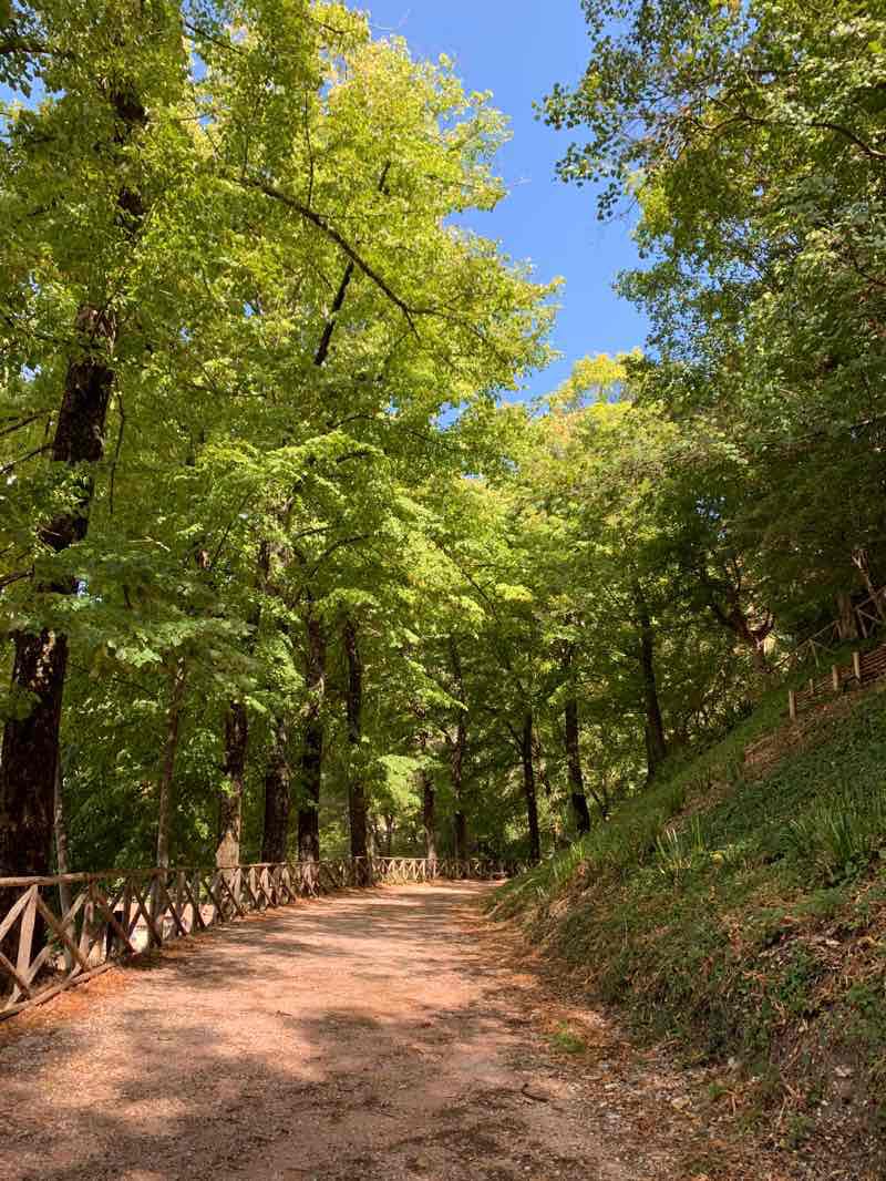 Immagine - Viale del Parco