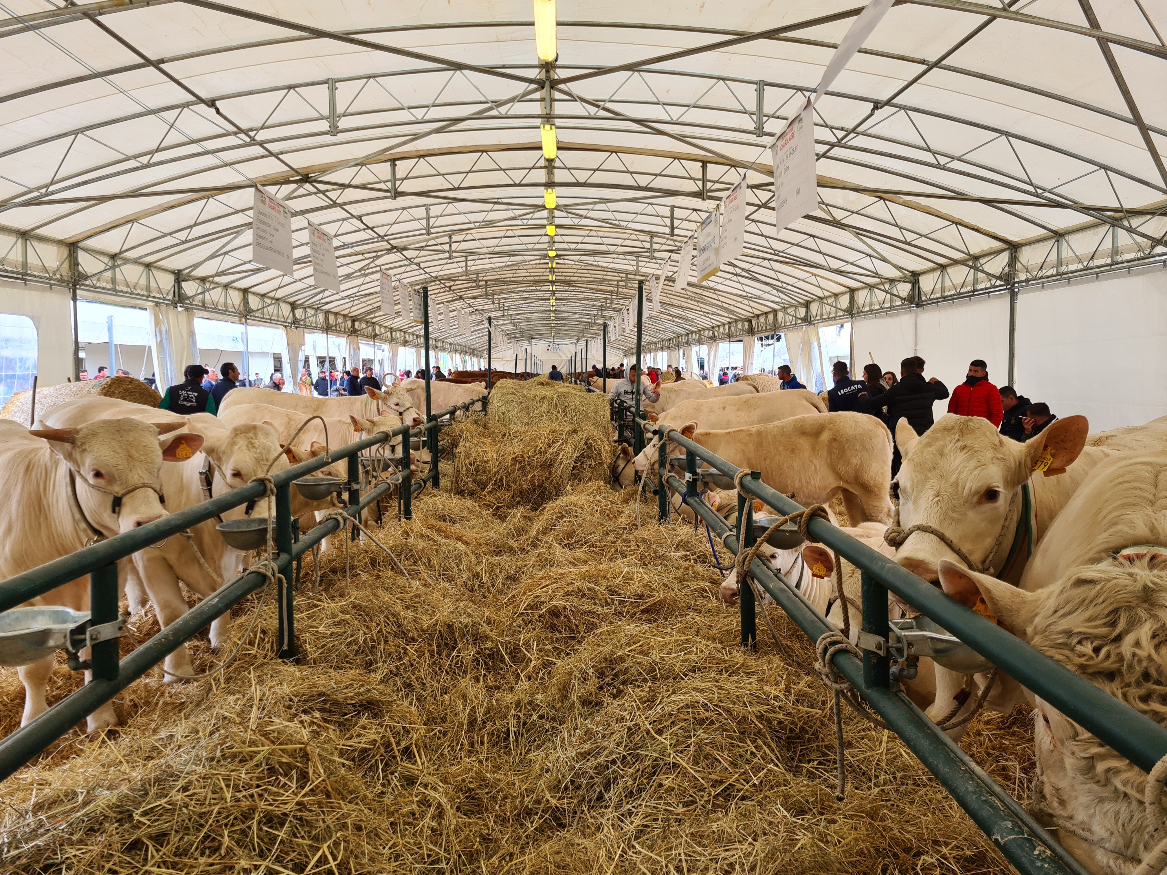 Inaugurata l'edizione numero 54 di Agriumbria 