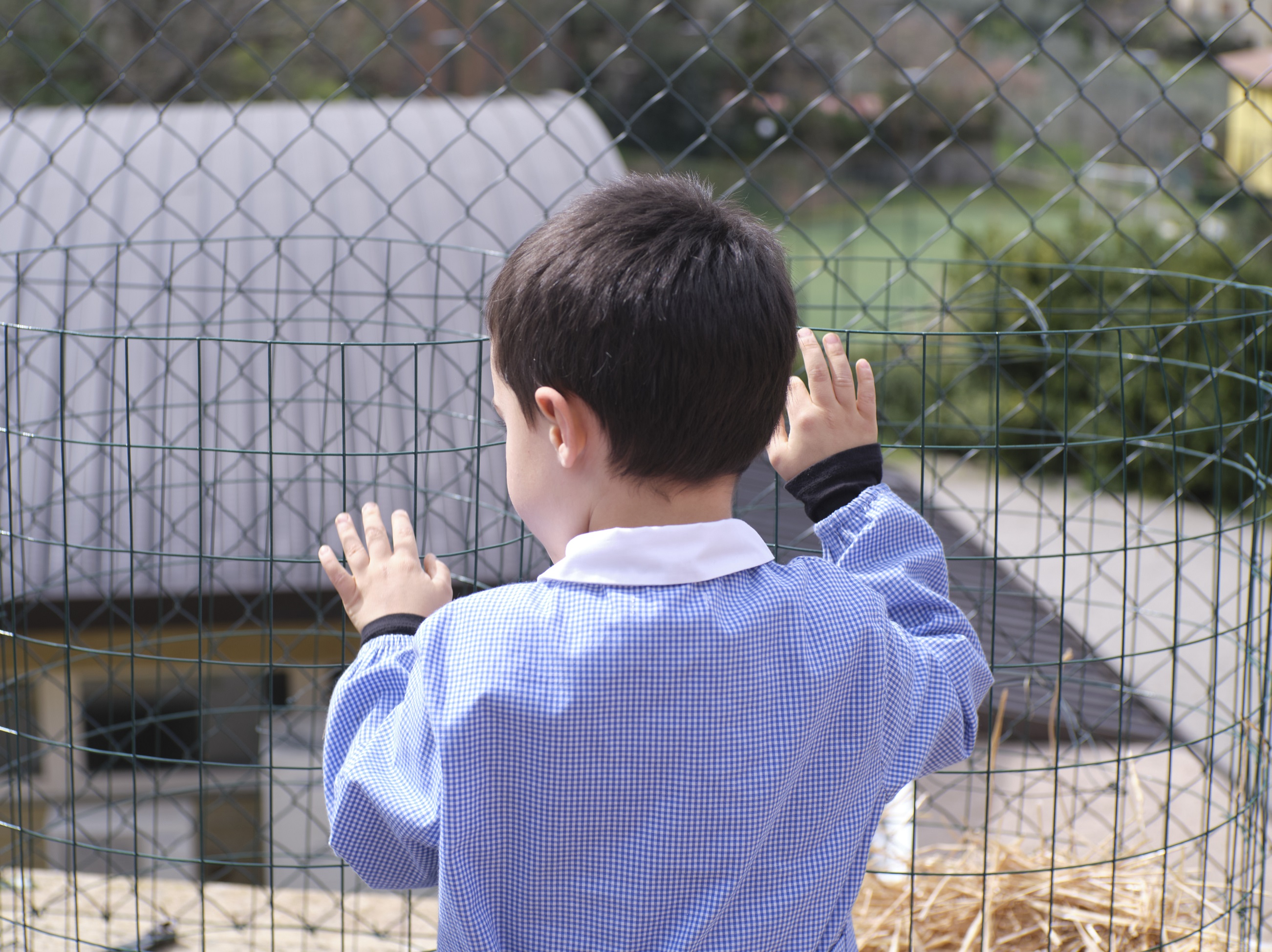 A Paciano i bambini dell’Infanzia danno vita a due giardini verticali