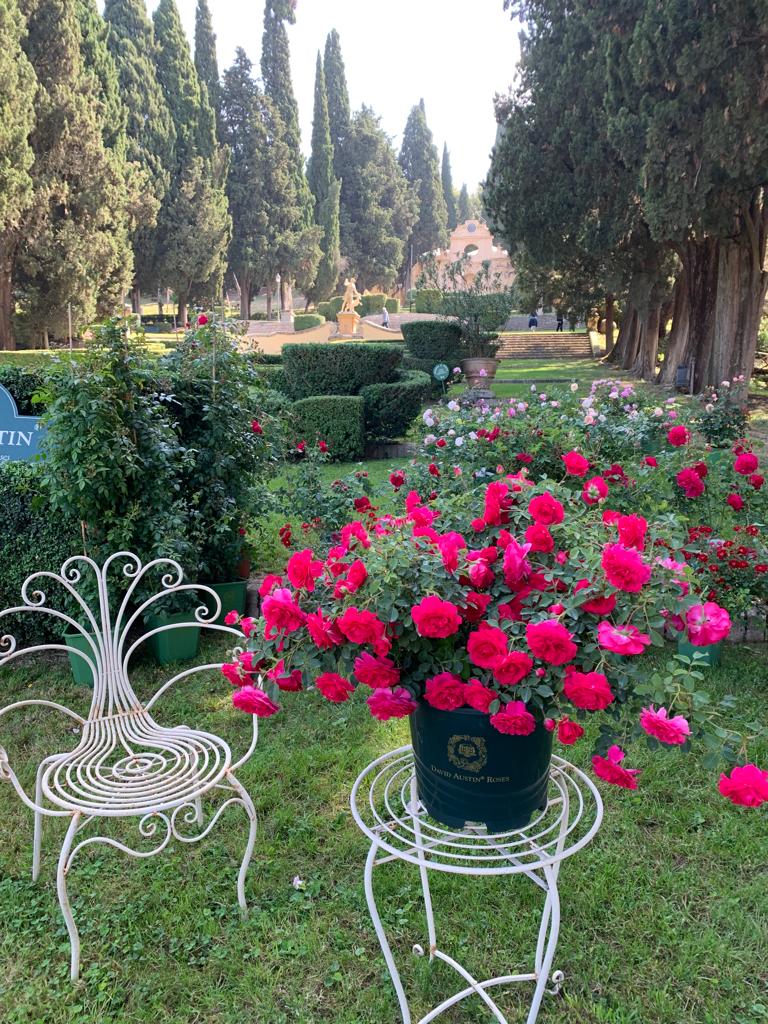 i giorni delle rose