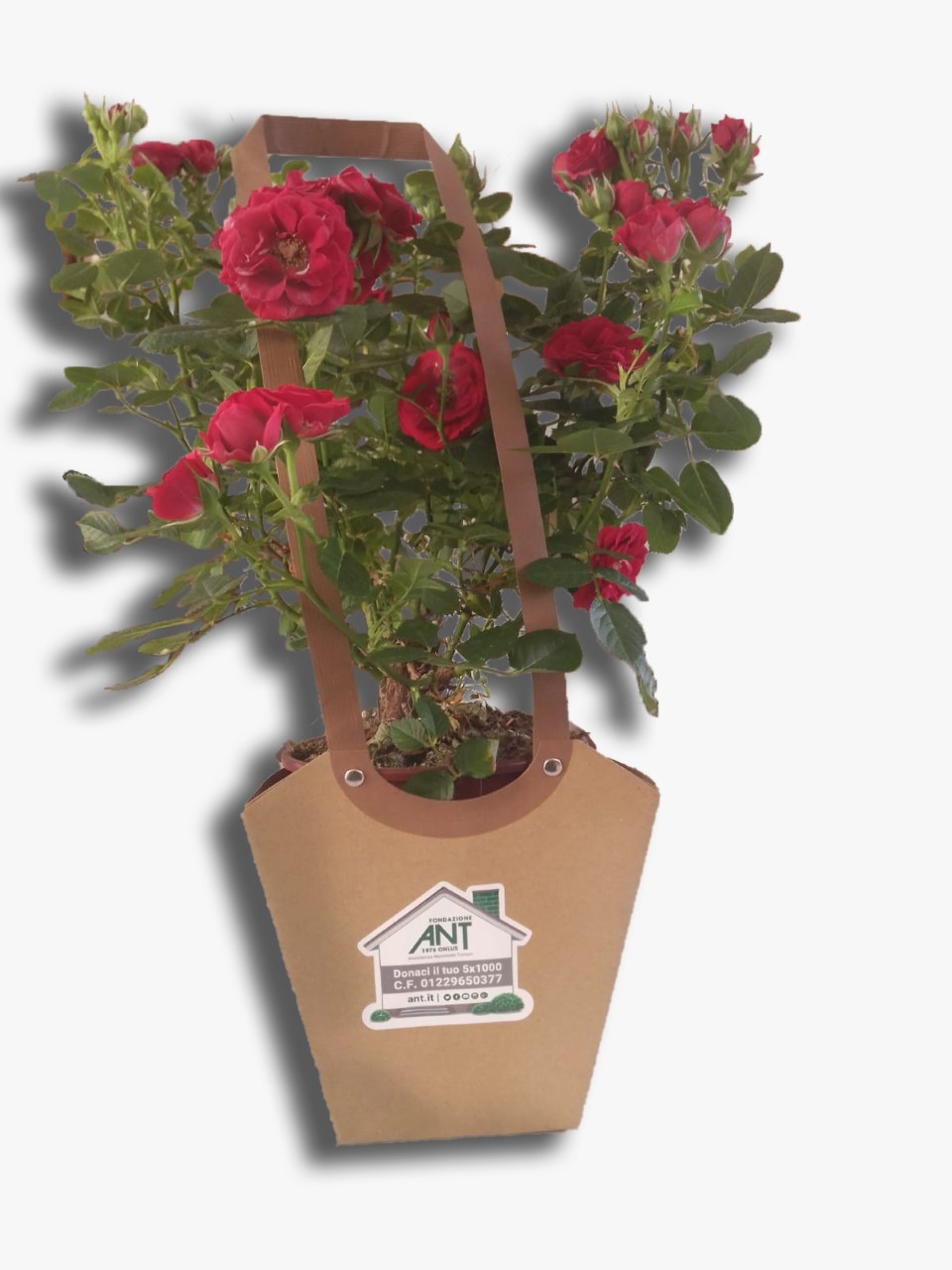 immagine iniziativa Ant con i fiori per festa della mamma