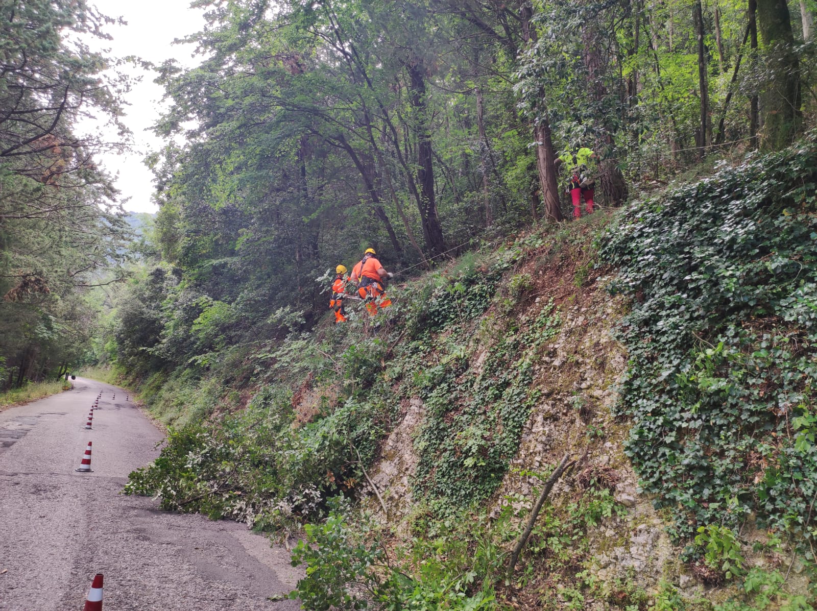 SP 249 Spello_Inizio cantiere