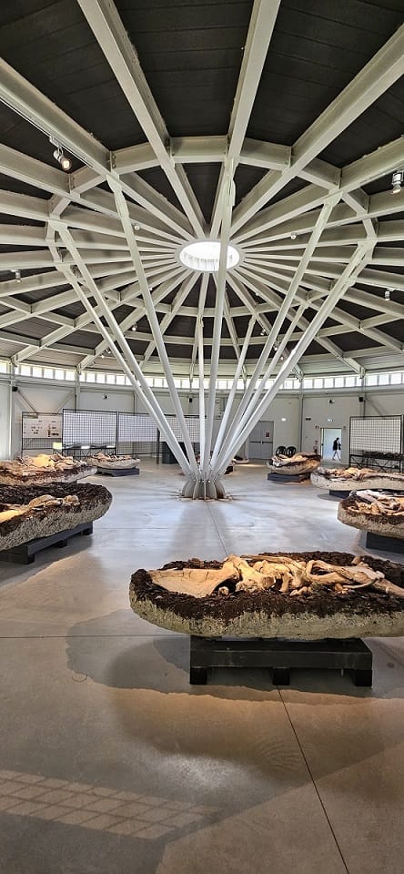 Il museo di Boldrini