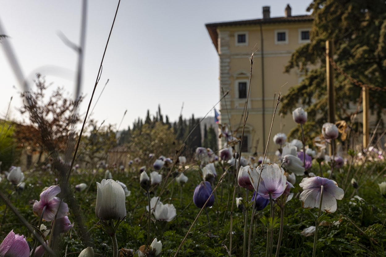 immagine Villa del Colle del Cardinale