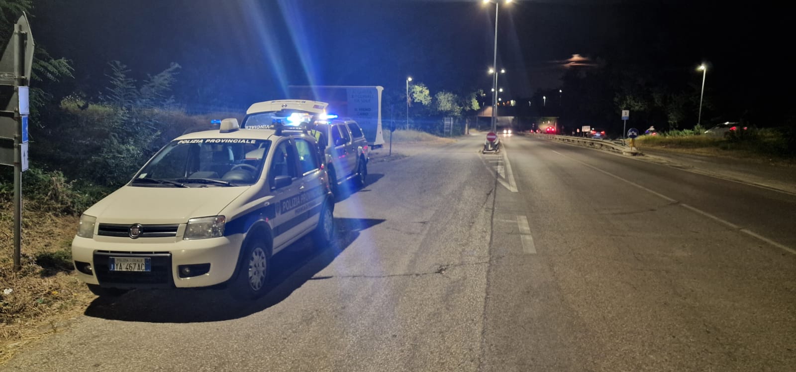prevenzione incidenti fauna selvatica