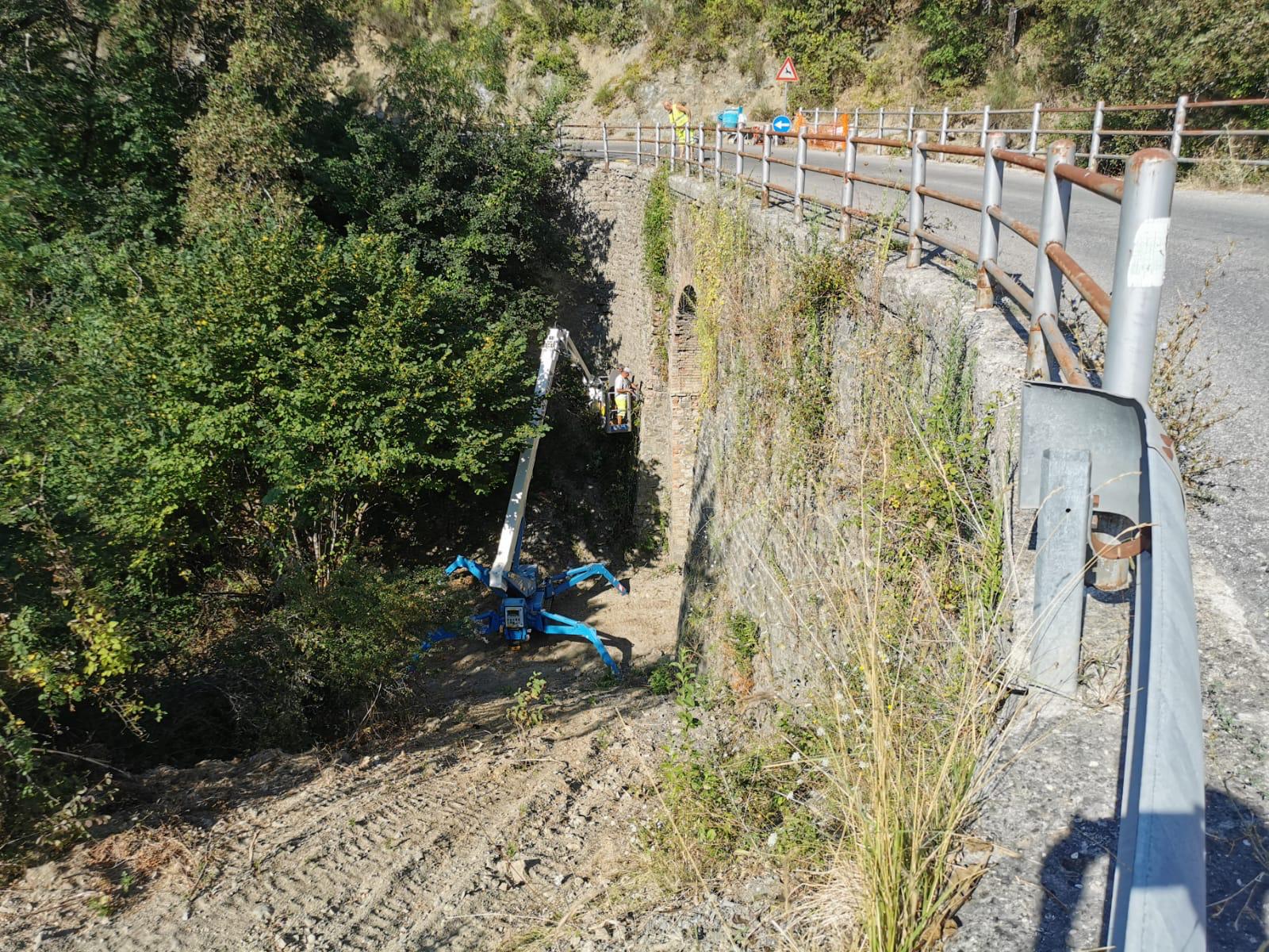 immagine Sp 103 di Monte Santa Maria Tiberina, lavori ponte Ricastelli