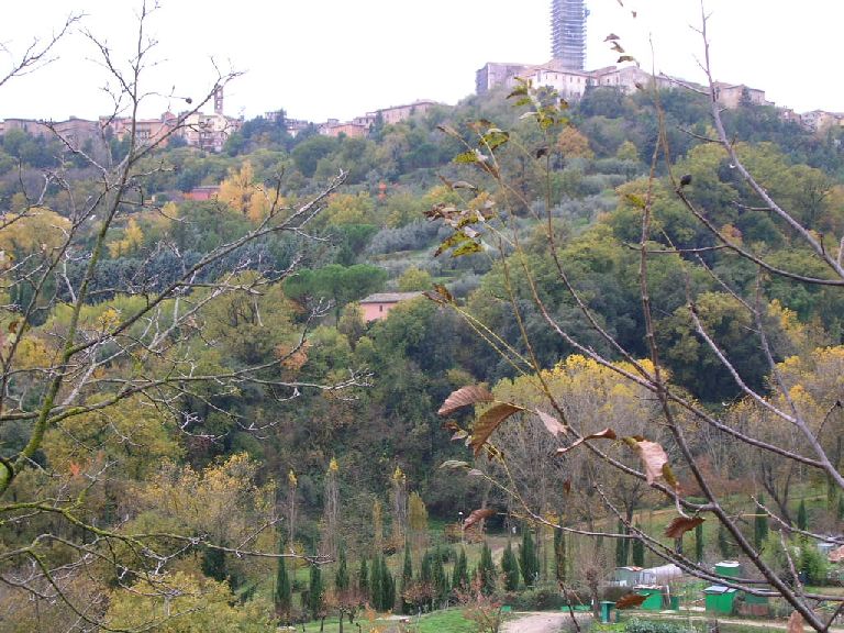 Parco Santa Margherita,terreni e orti